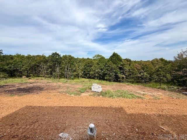77 Summer Sky Drive  Greenbrier, AR