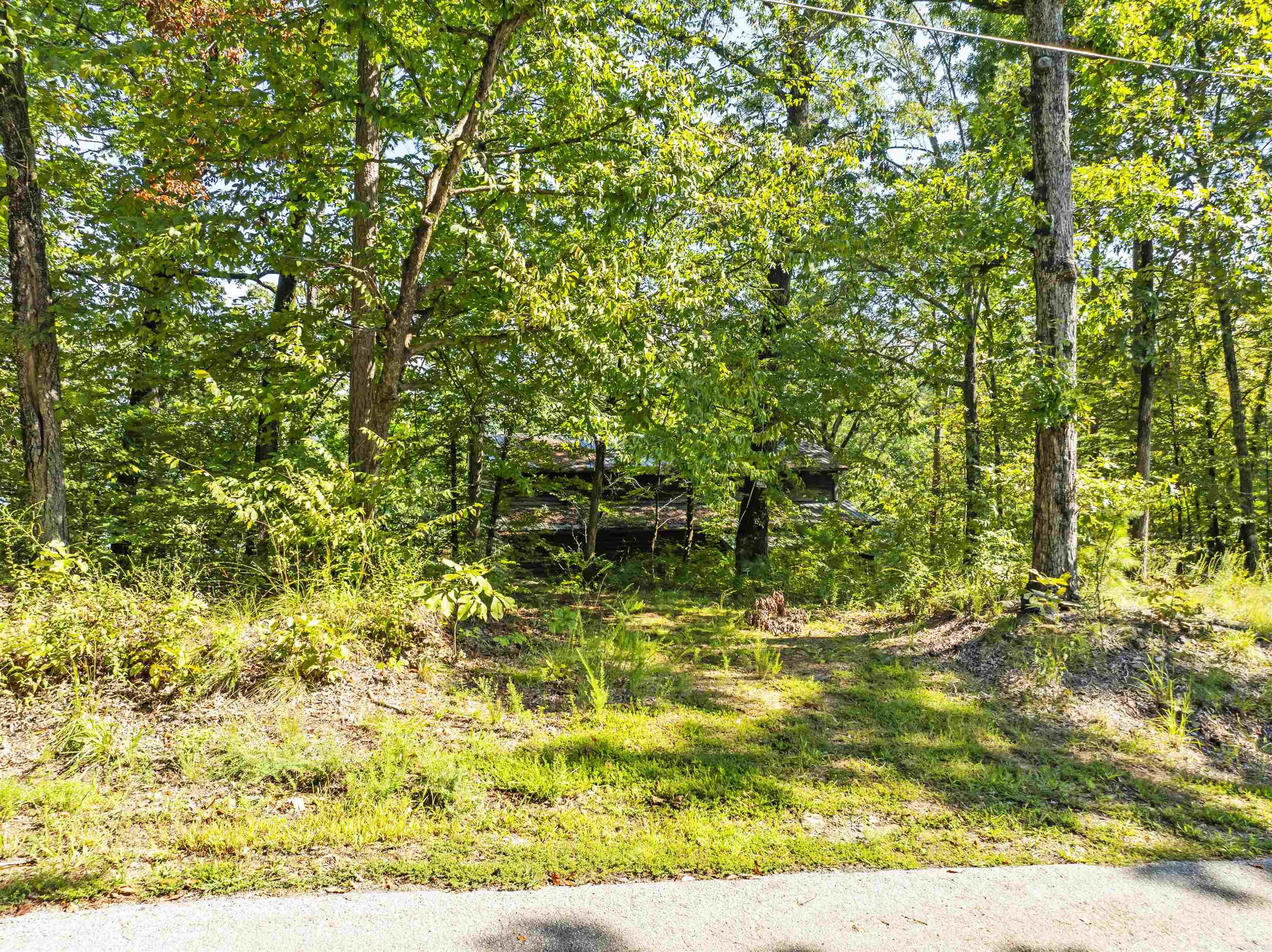 320 Restful Ridge Rd  Hot Springs, AR