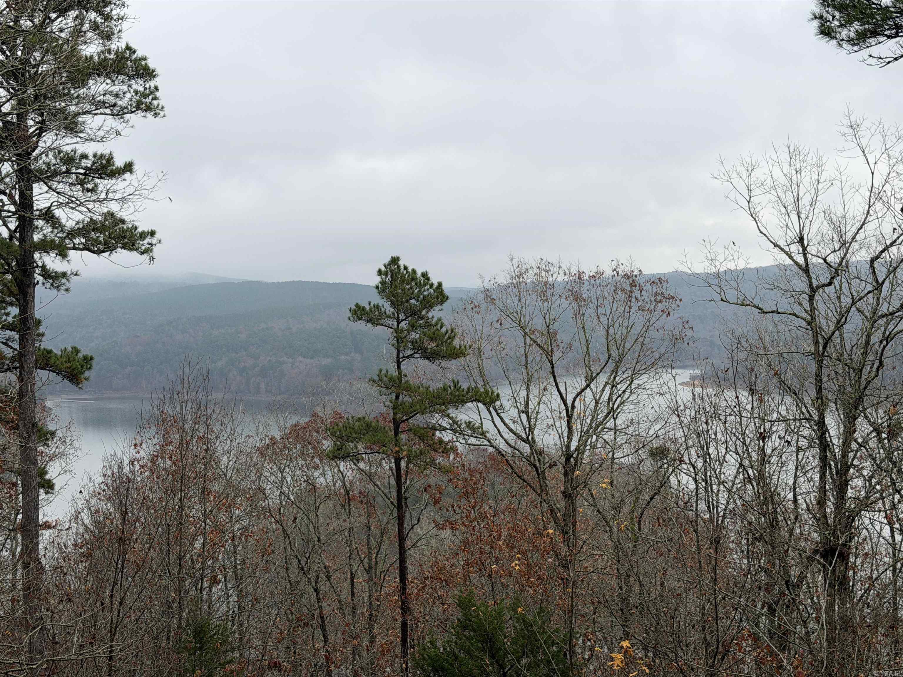 11 Island View Greers Ferry, AR 72067