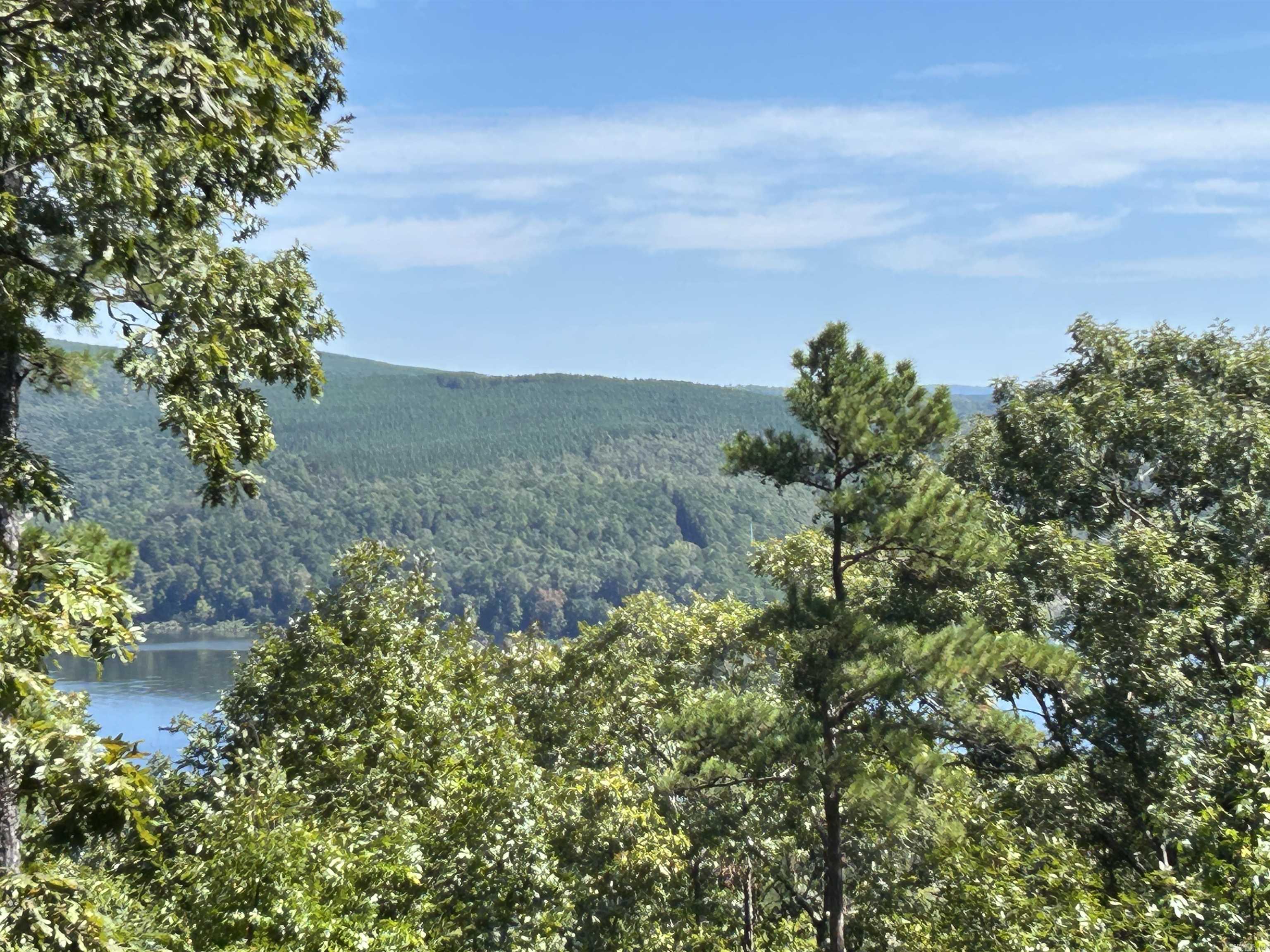 11 Island View  Greers Ferry, AR