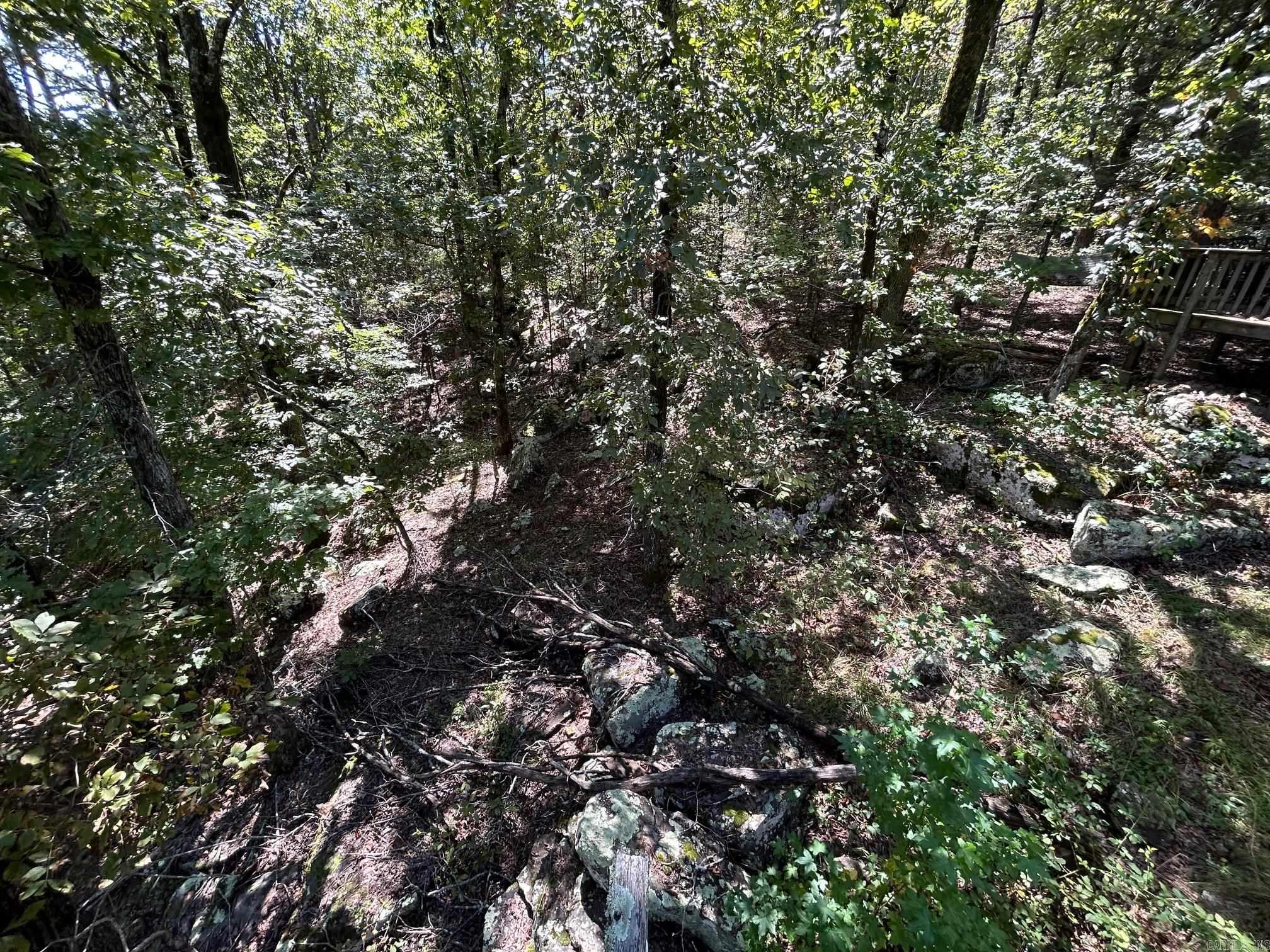 11 Island View  Greers Ferry, AR