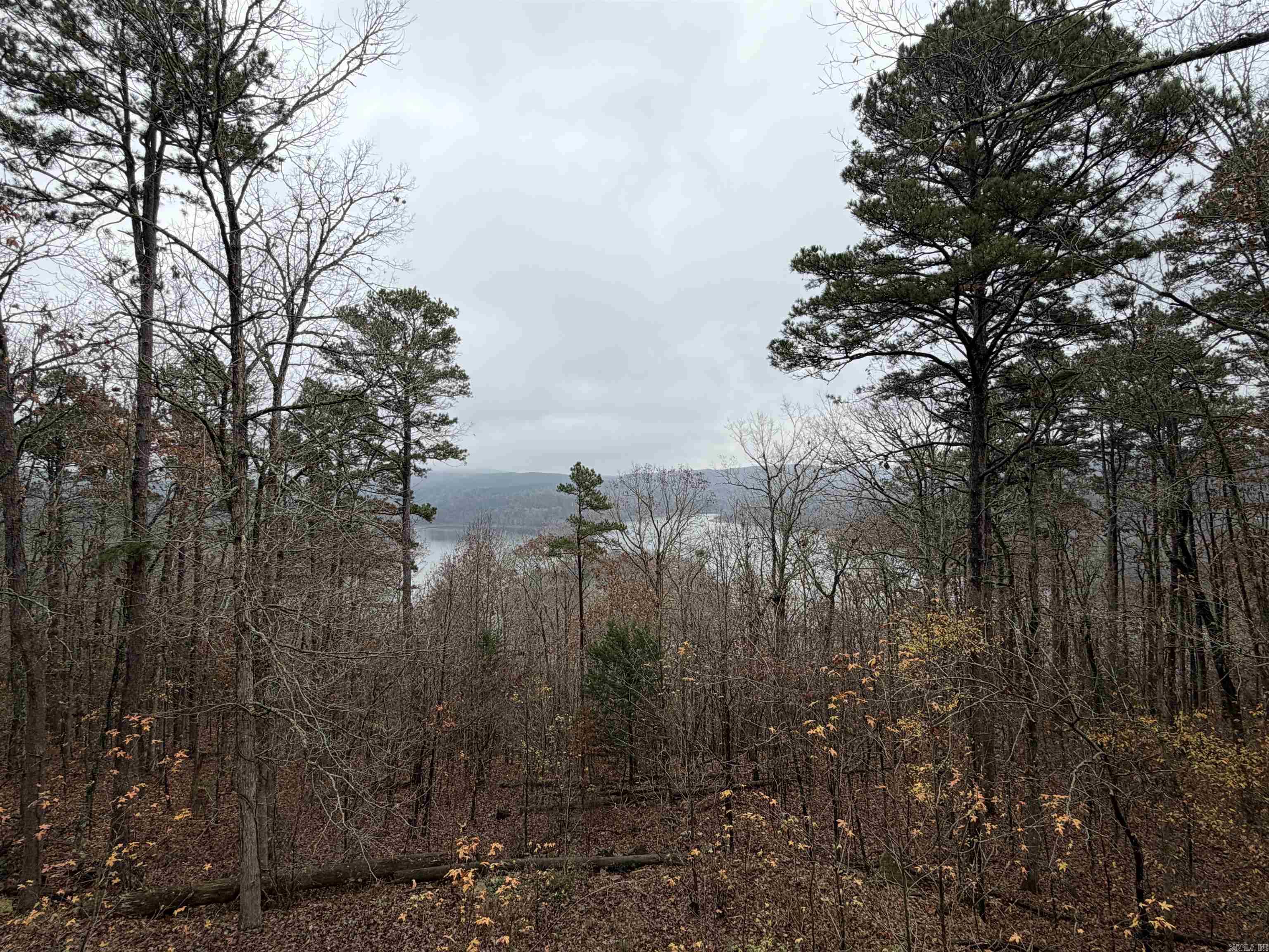 11 Island View Greers Ferry, AR 72067