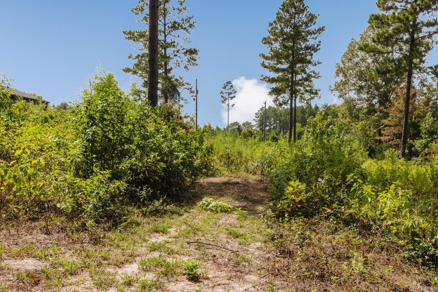 13587 Mars Hill Rd  Bauxite, AR