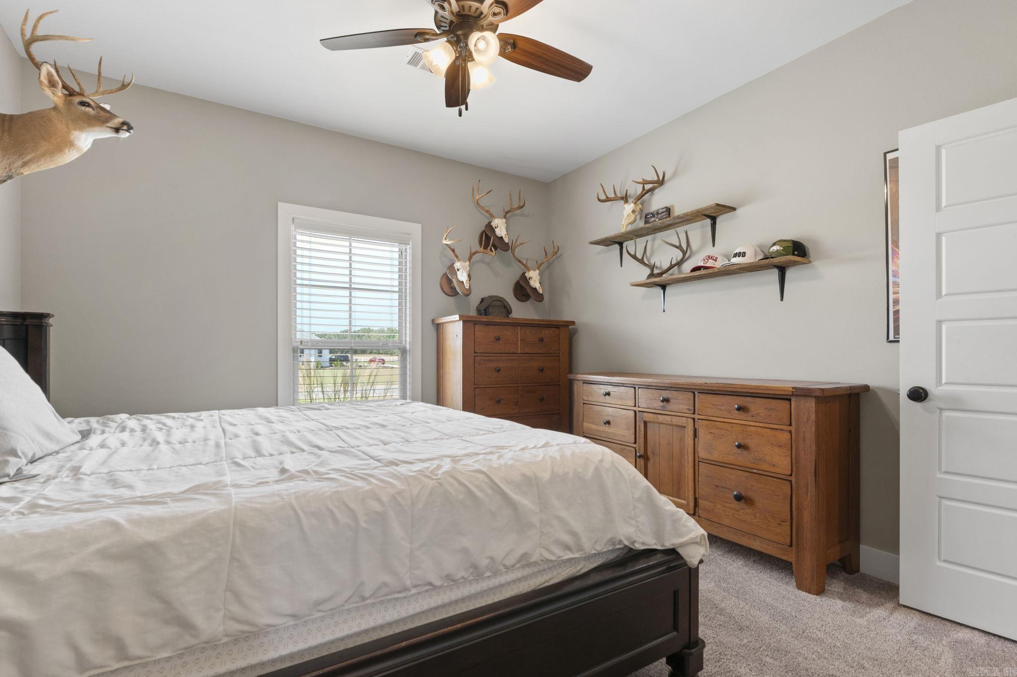 22 Appaloosa  Vilonia, AR