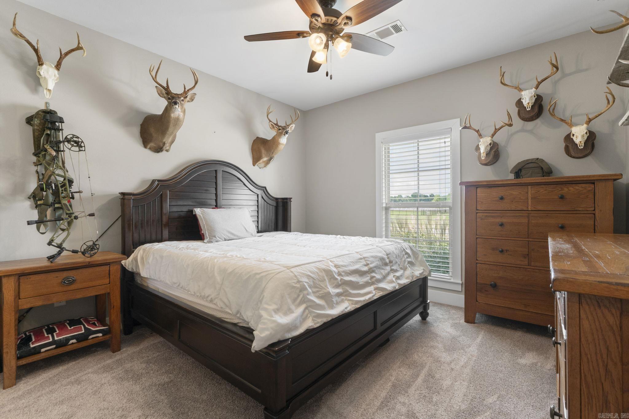 22 Appaloosa  Vilonia, AR