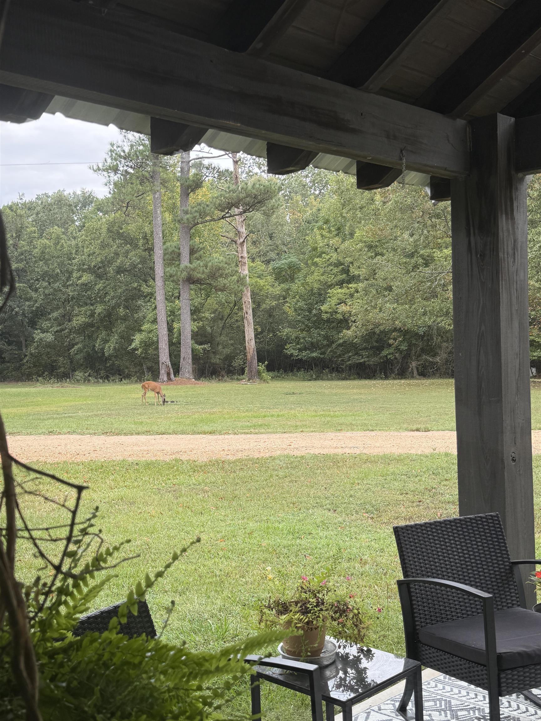1153 Ashley County Rd 73  Hamburg, AR