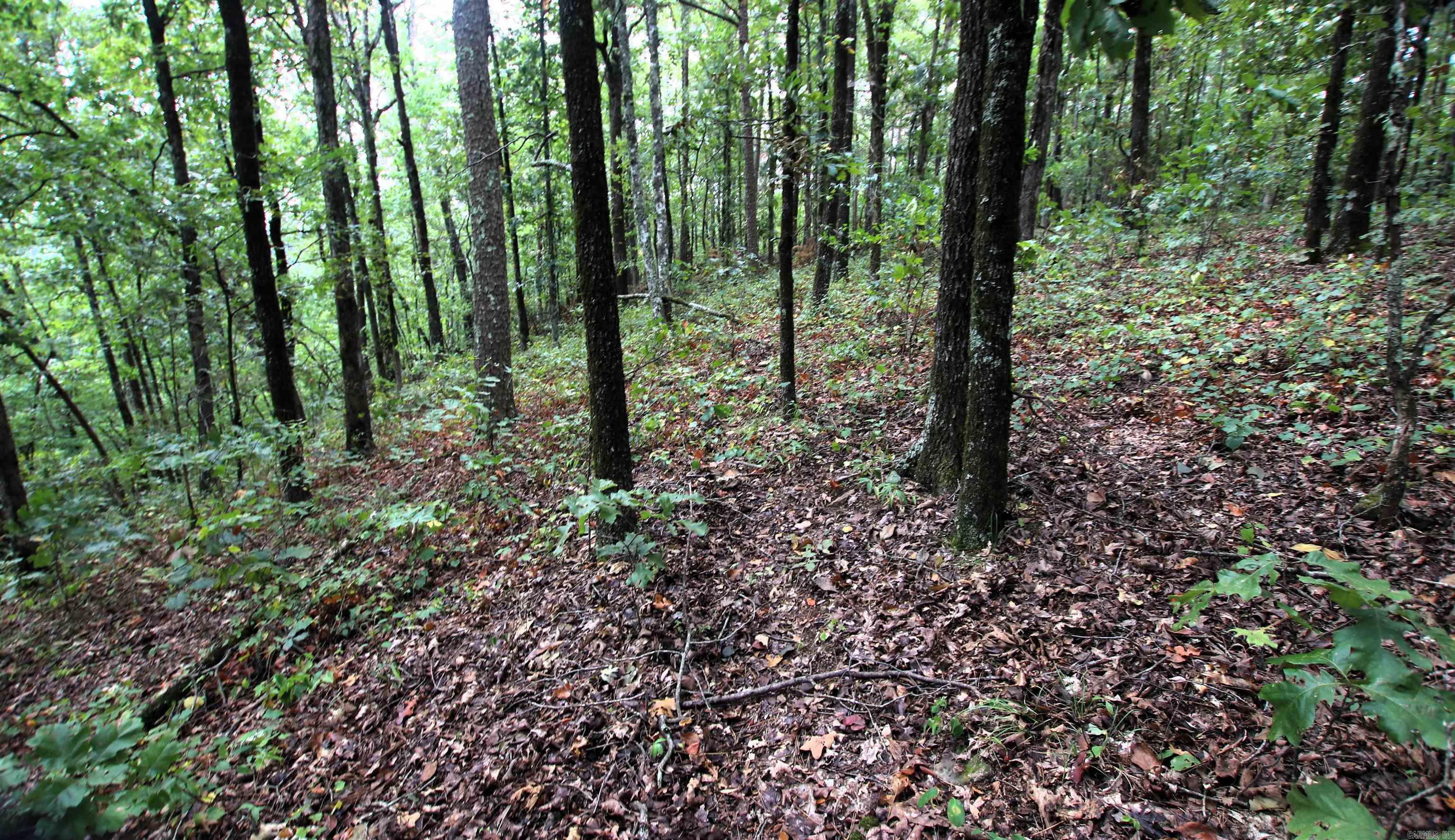 5463 Lo Gap  Clinton, AR