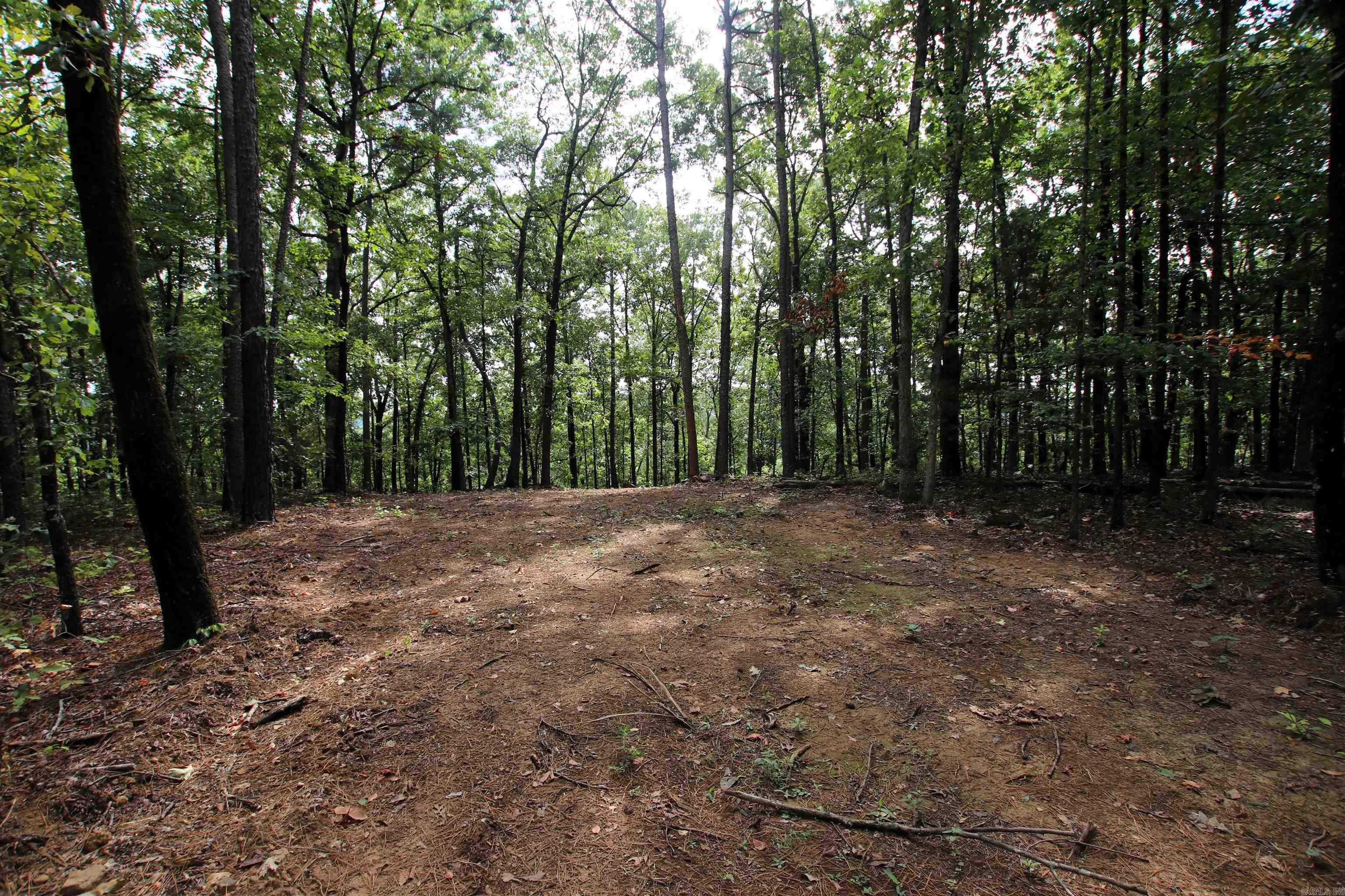 5463 Lo Gap  Clinton, AR