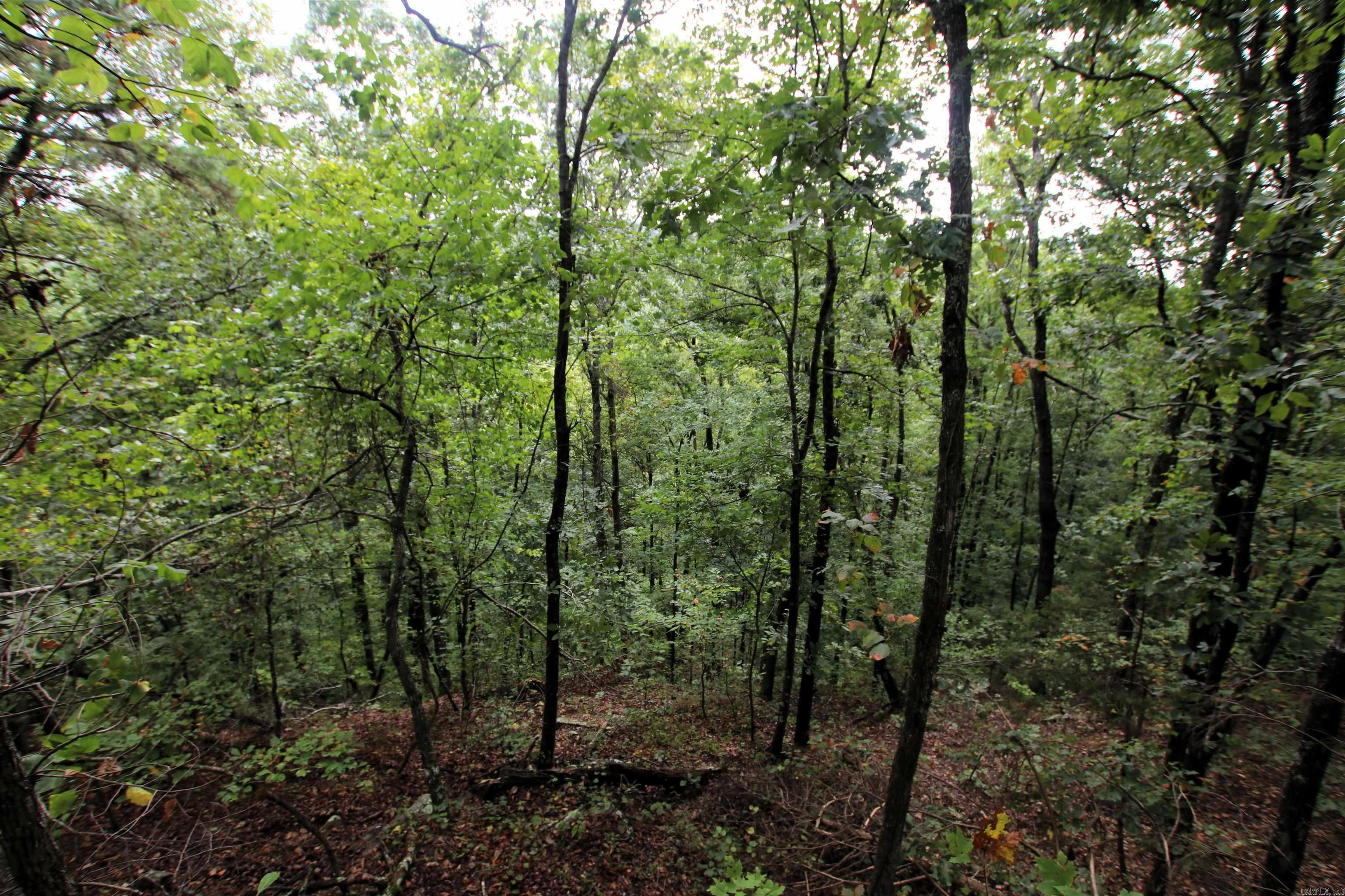 5463 Lo Gap  Clinton, AR