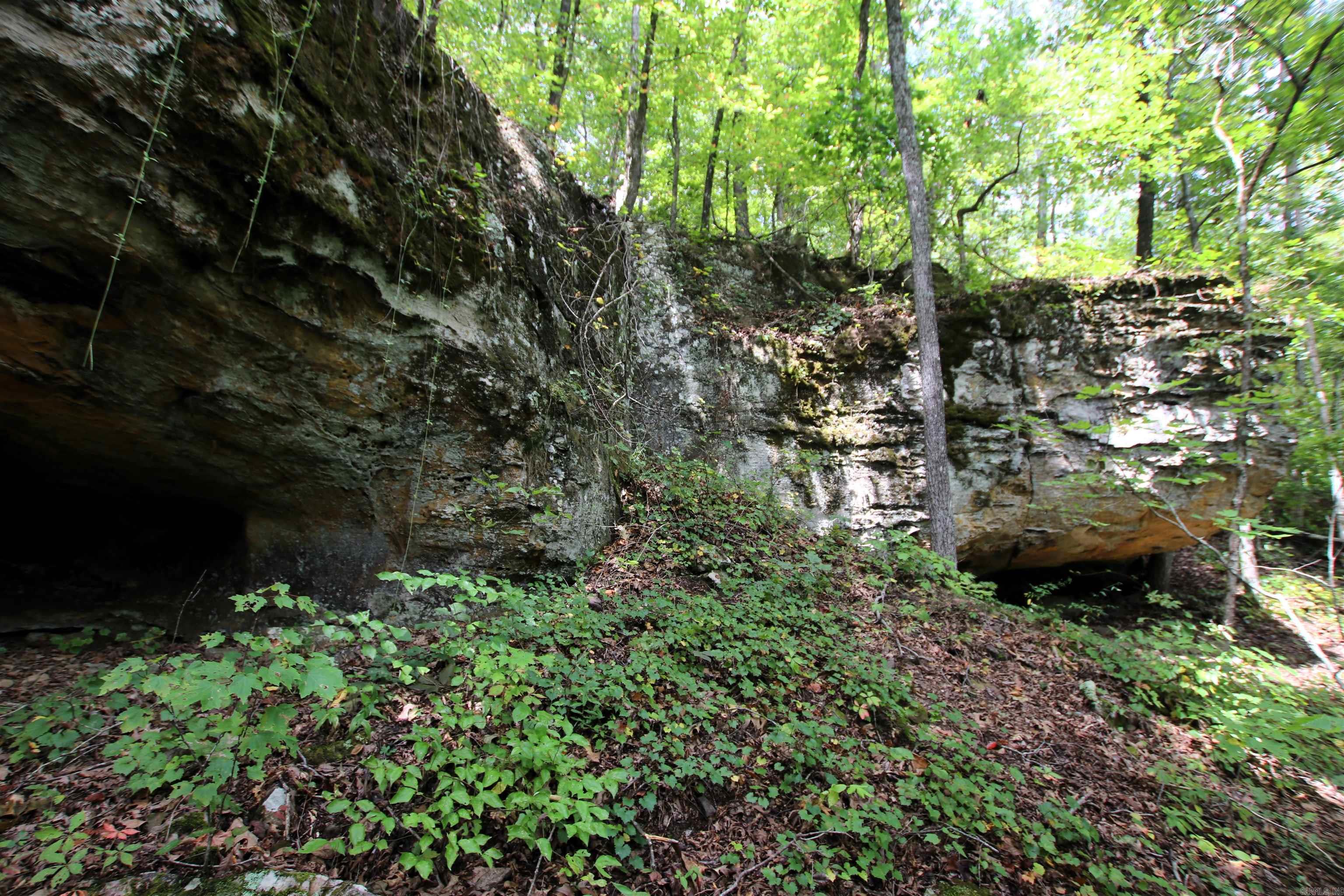 5463 Lo Gap  Clinton, AR