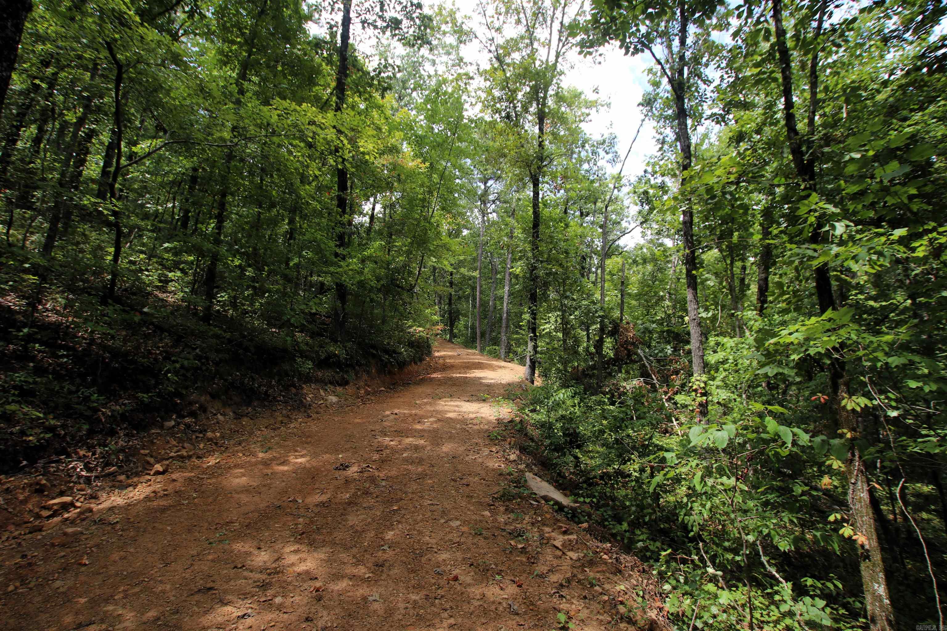 5463 Lo Gap  Clinton, AR