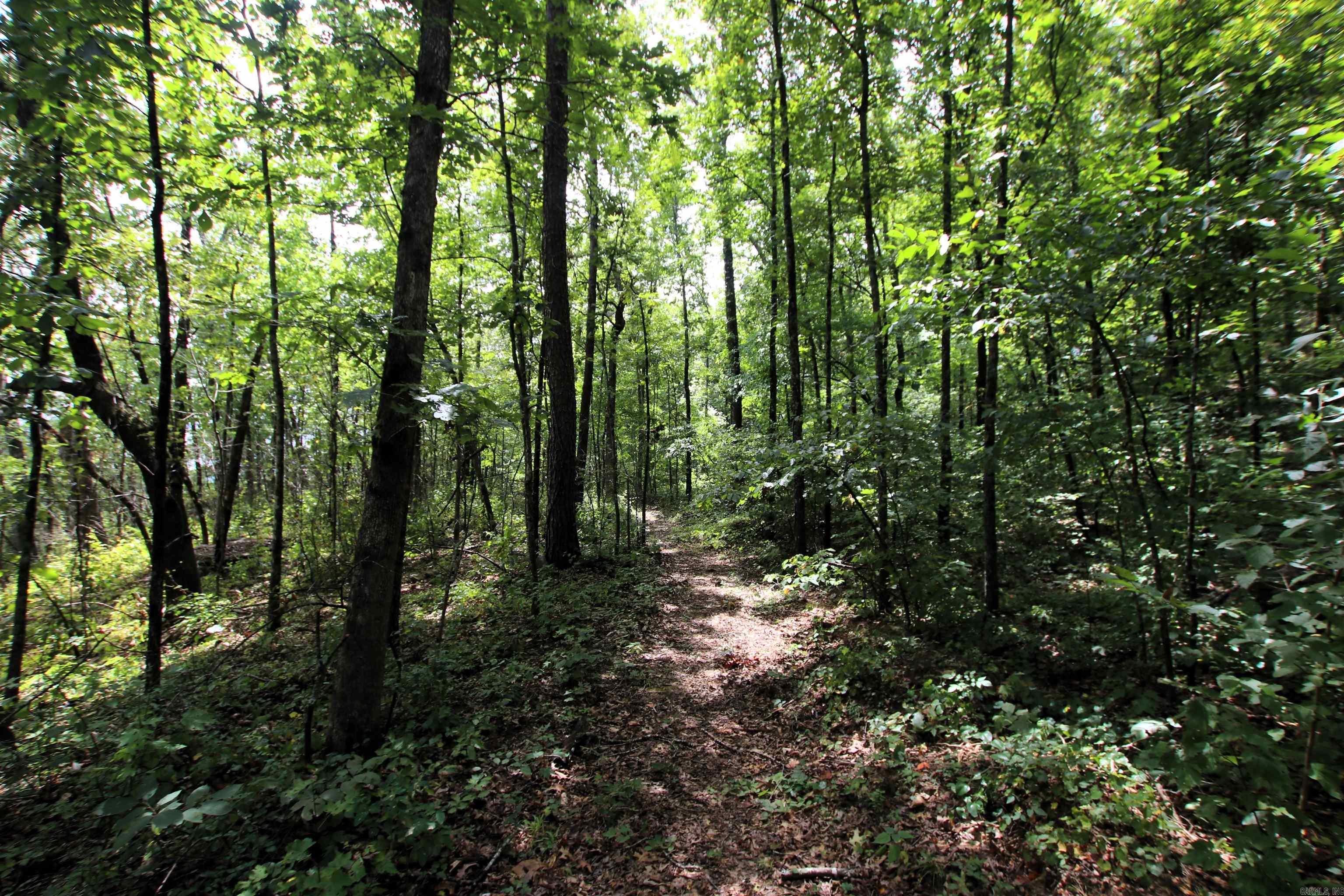 5463 Lo Gap  Clinton, AR