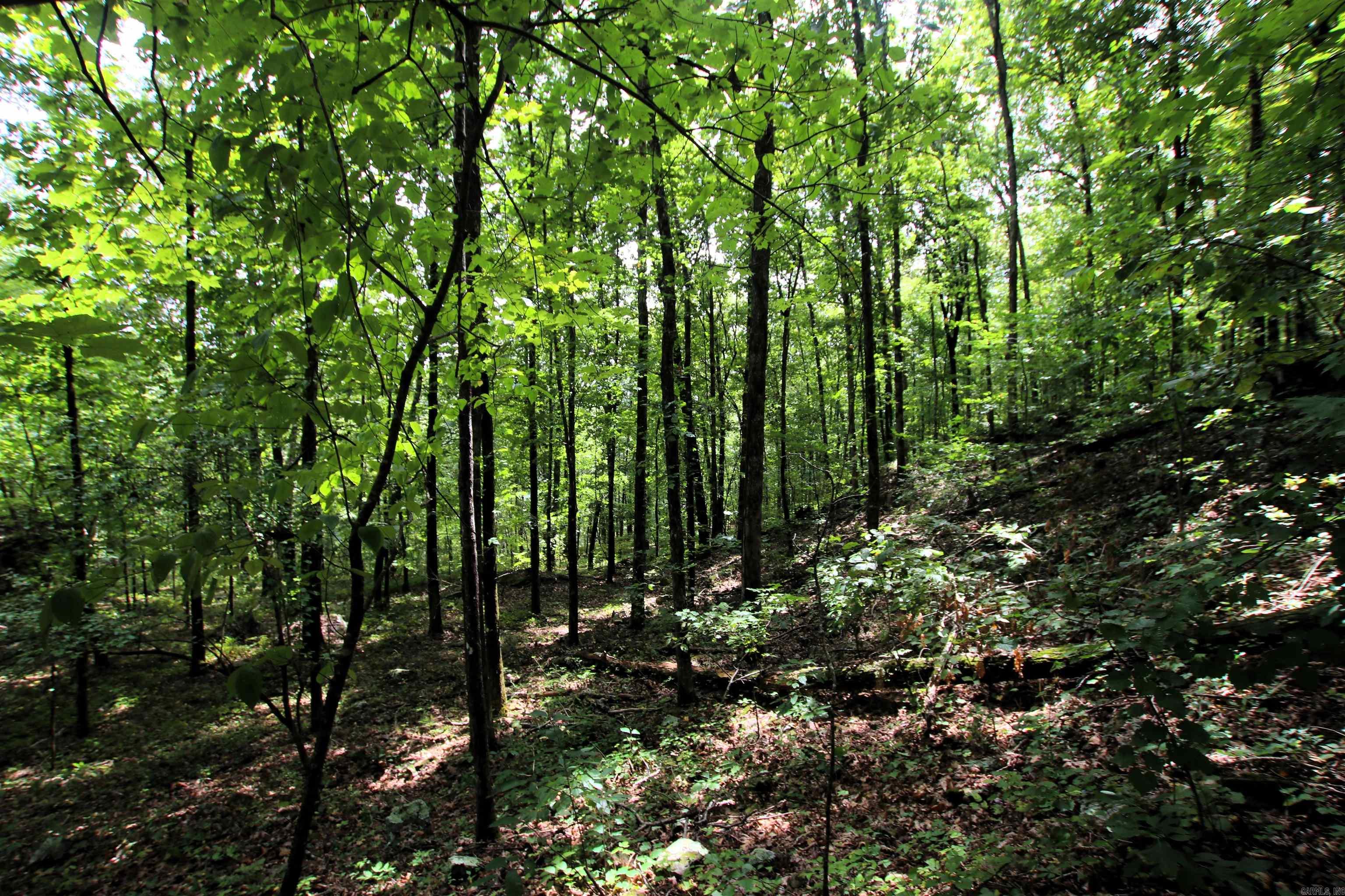 5463 Lo Gap  Clinton, AR