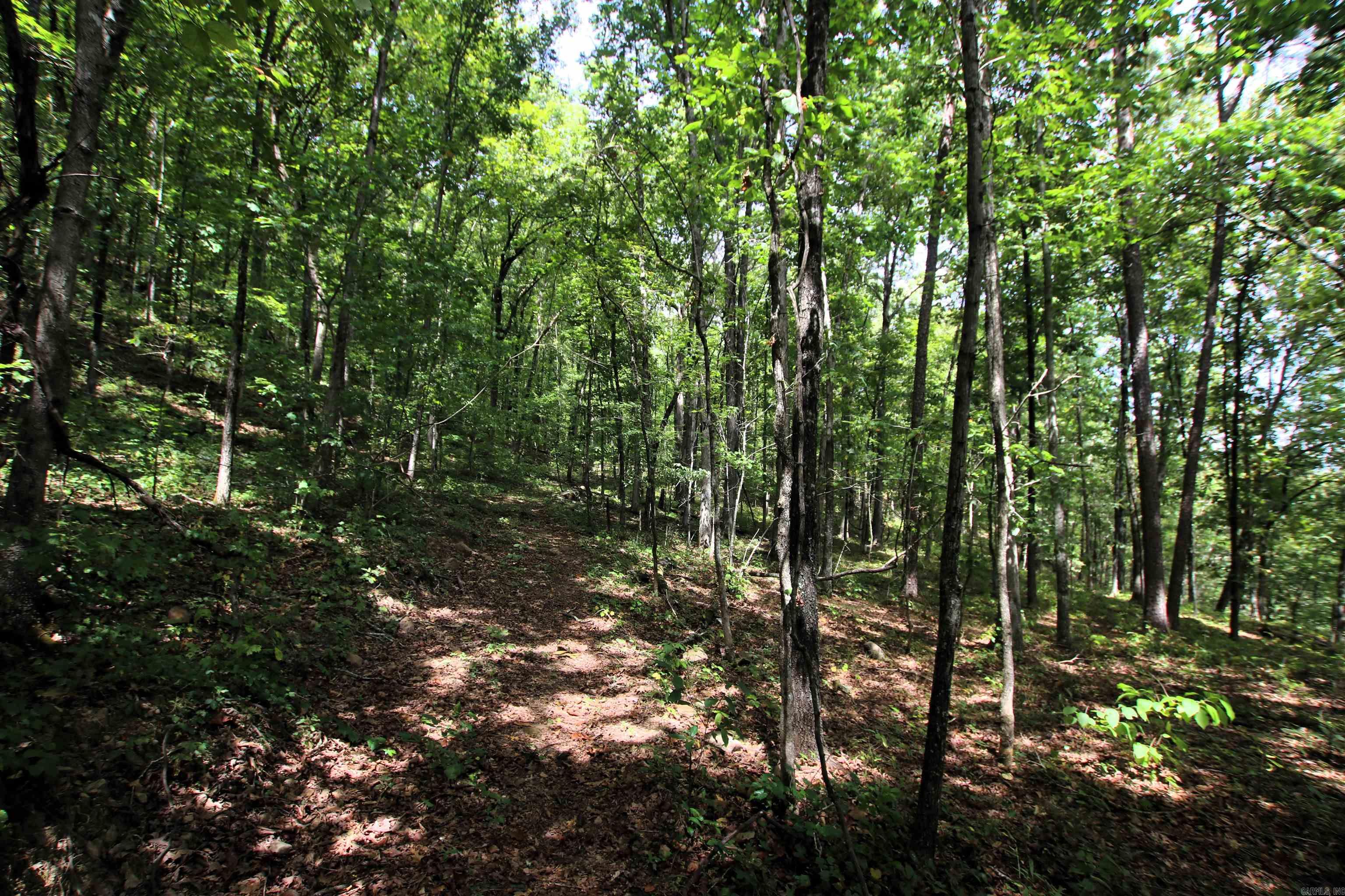 5463 Lo Gap  Clinton, AR