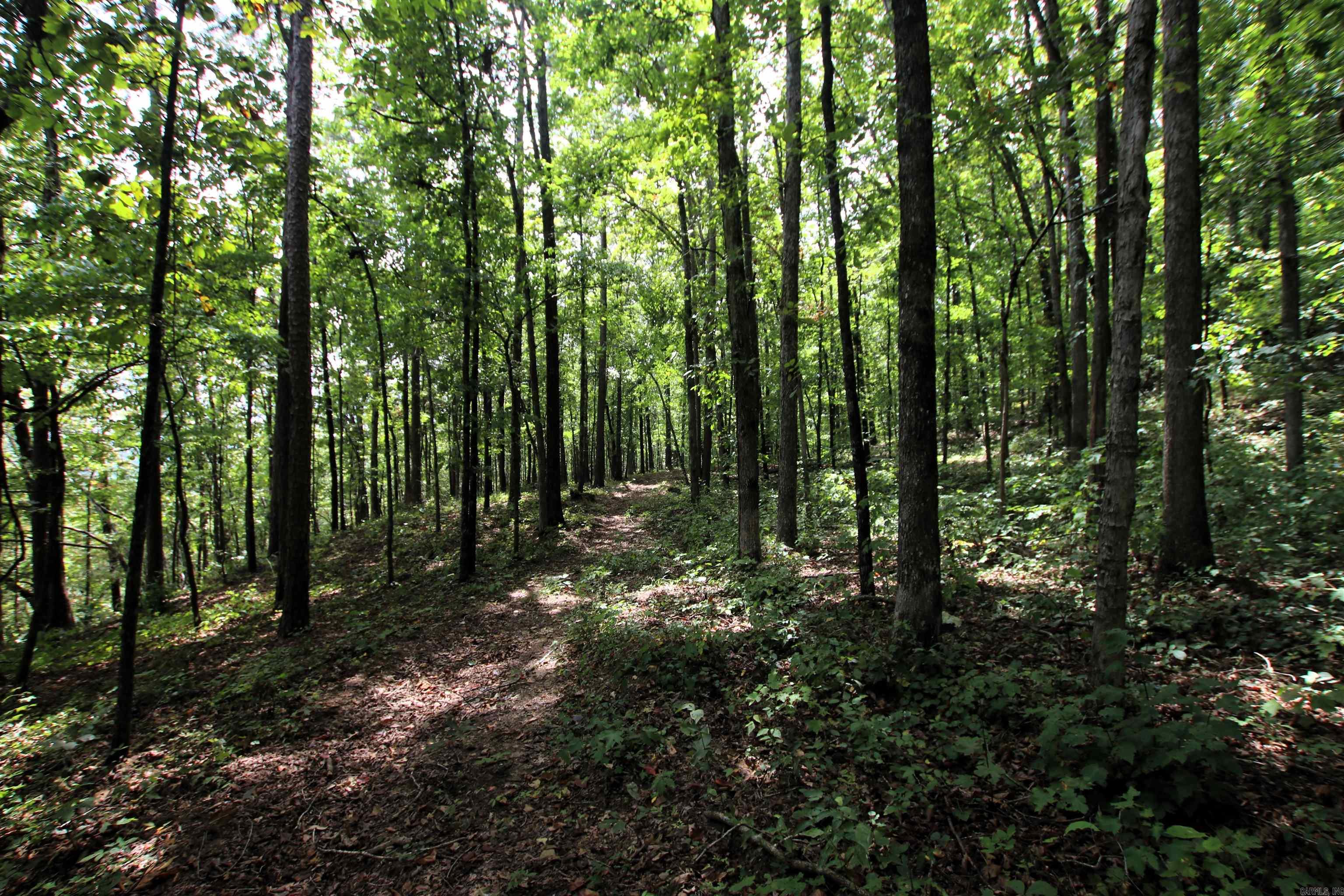 5463 Lo Gap  Clinton, AR