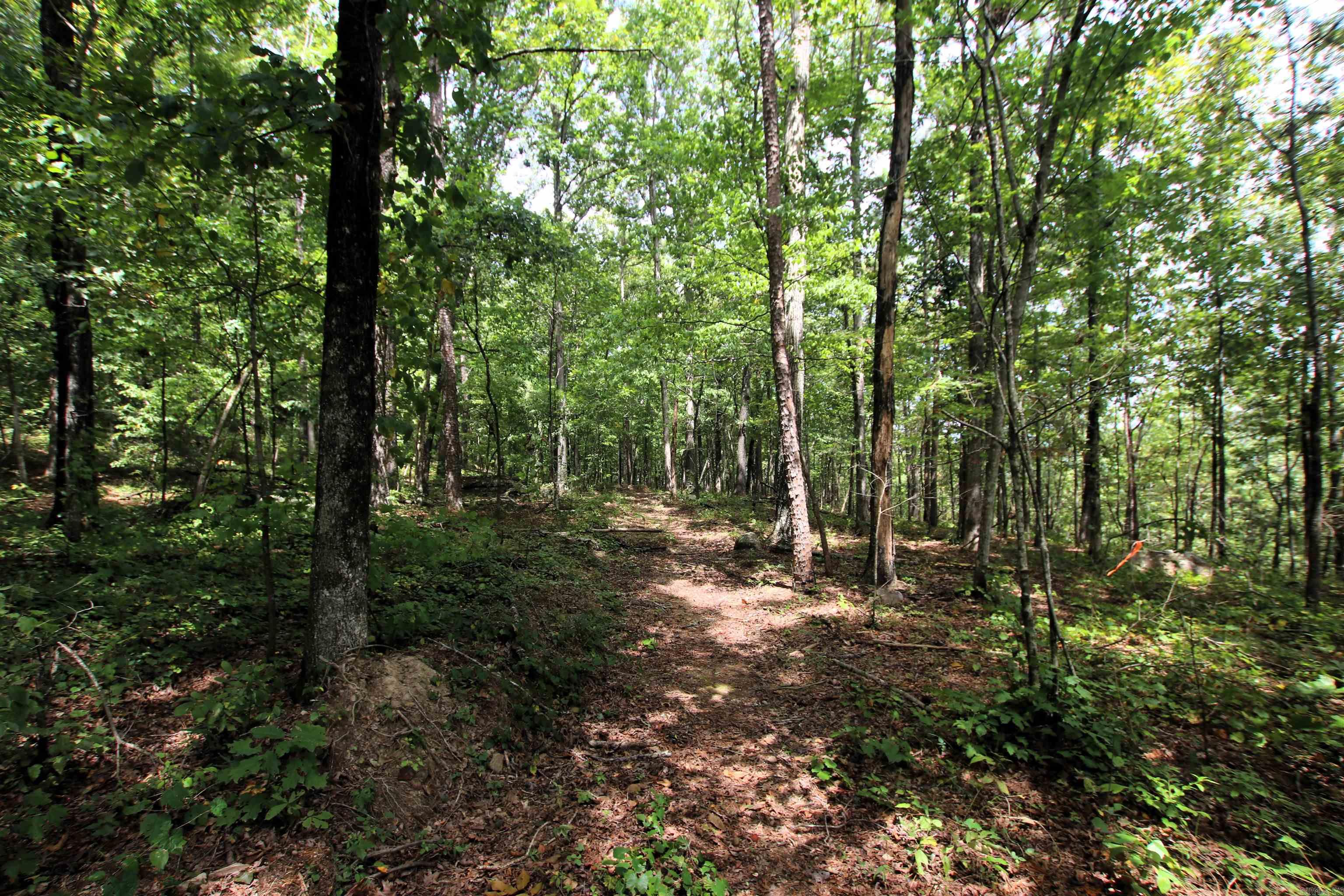 5463 Lo Gap  Clinton, AR