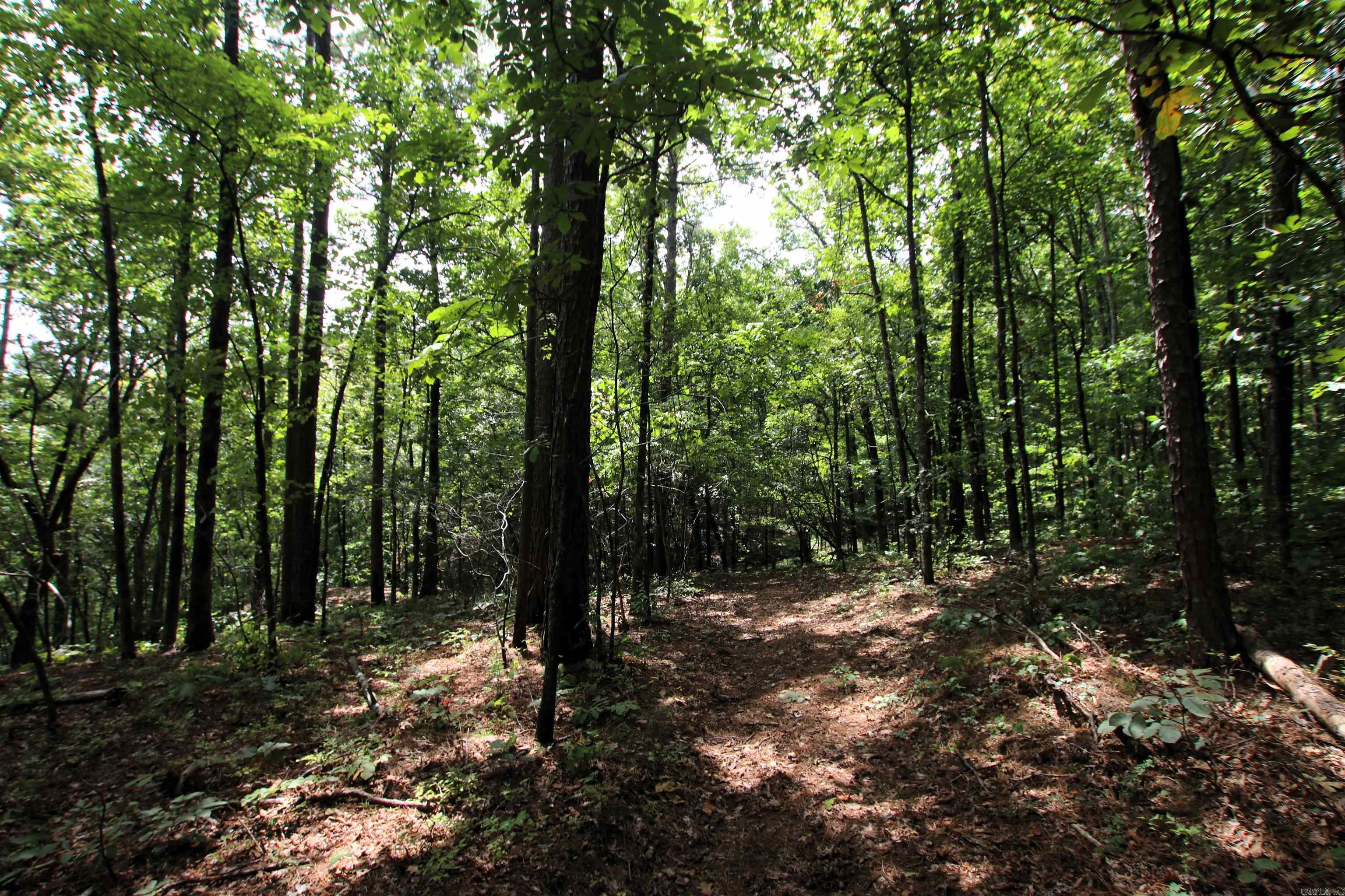 5463 Lo Gap  Clinton, AR