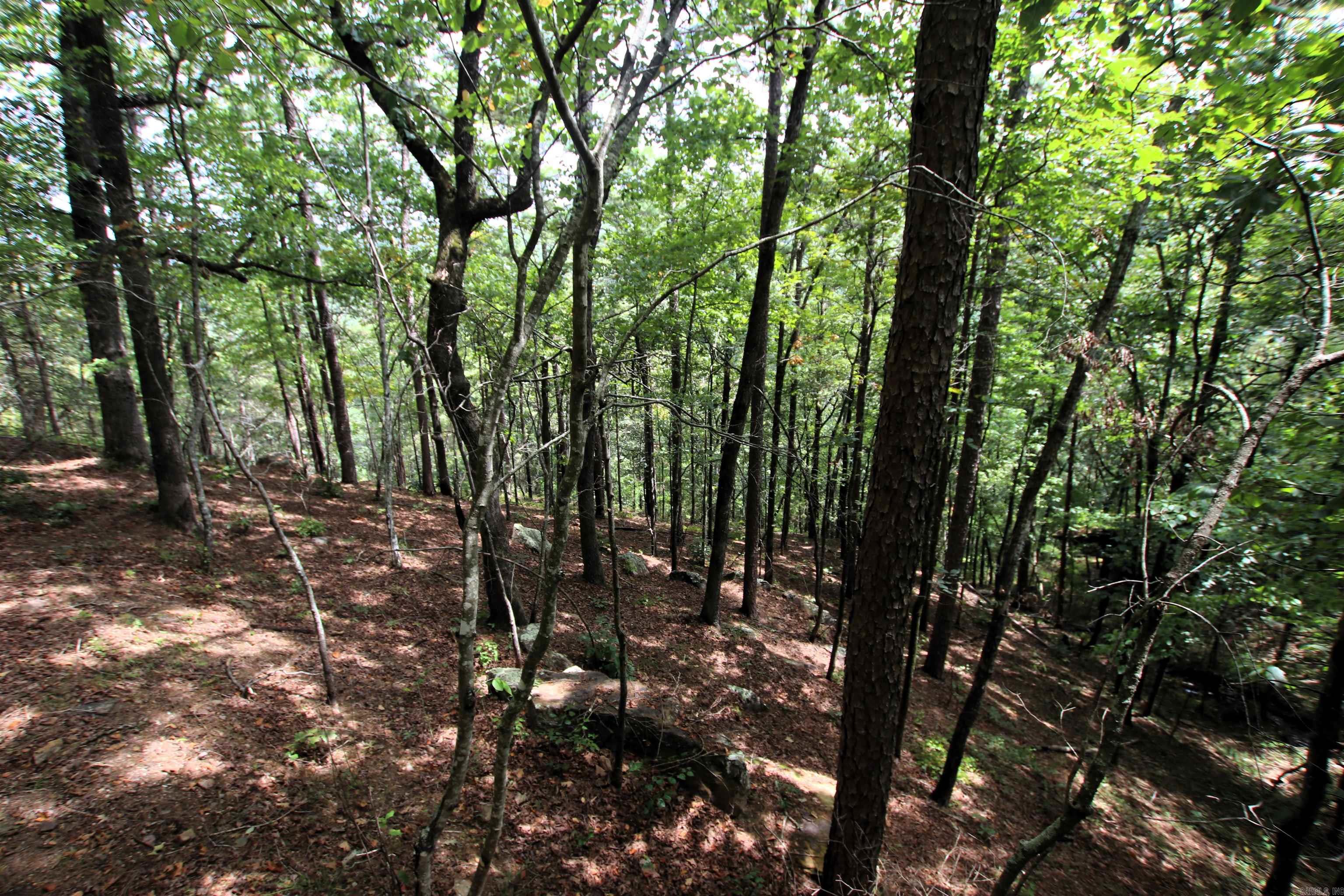 5463 Lo Gap  Clinton, AR