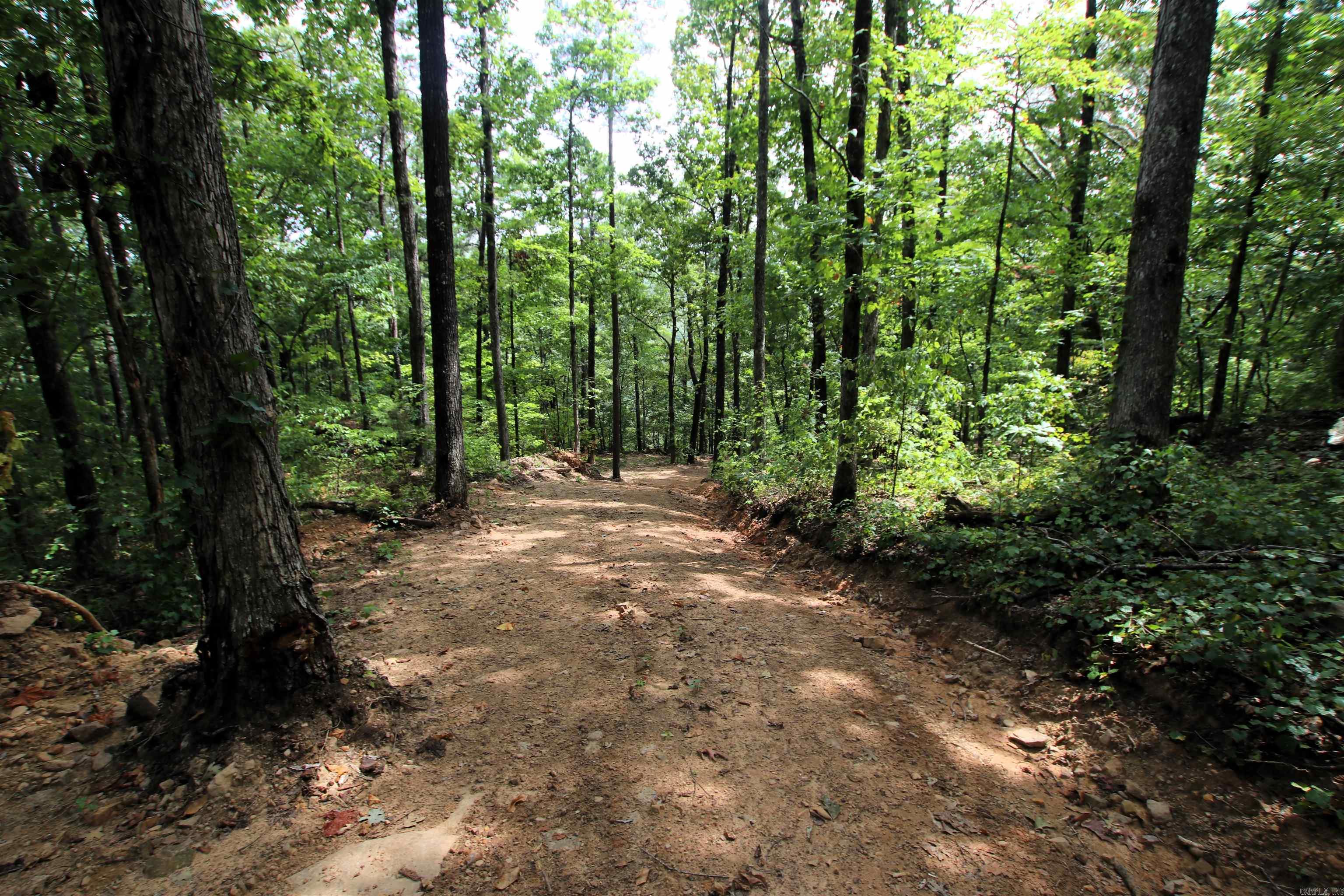 5463 Lo Gap  Clinton, AR