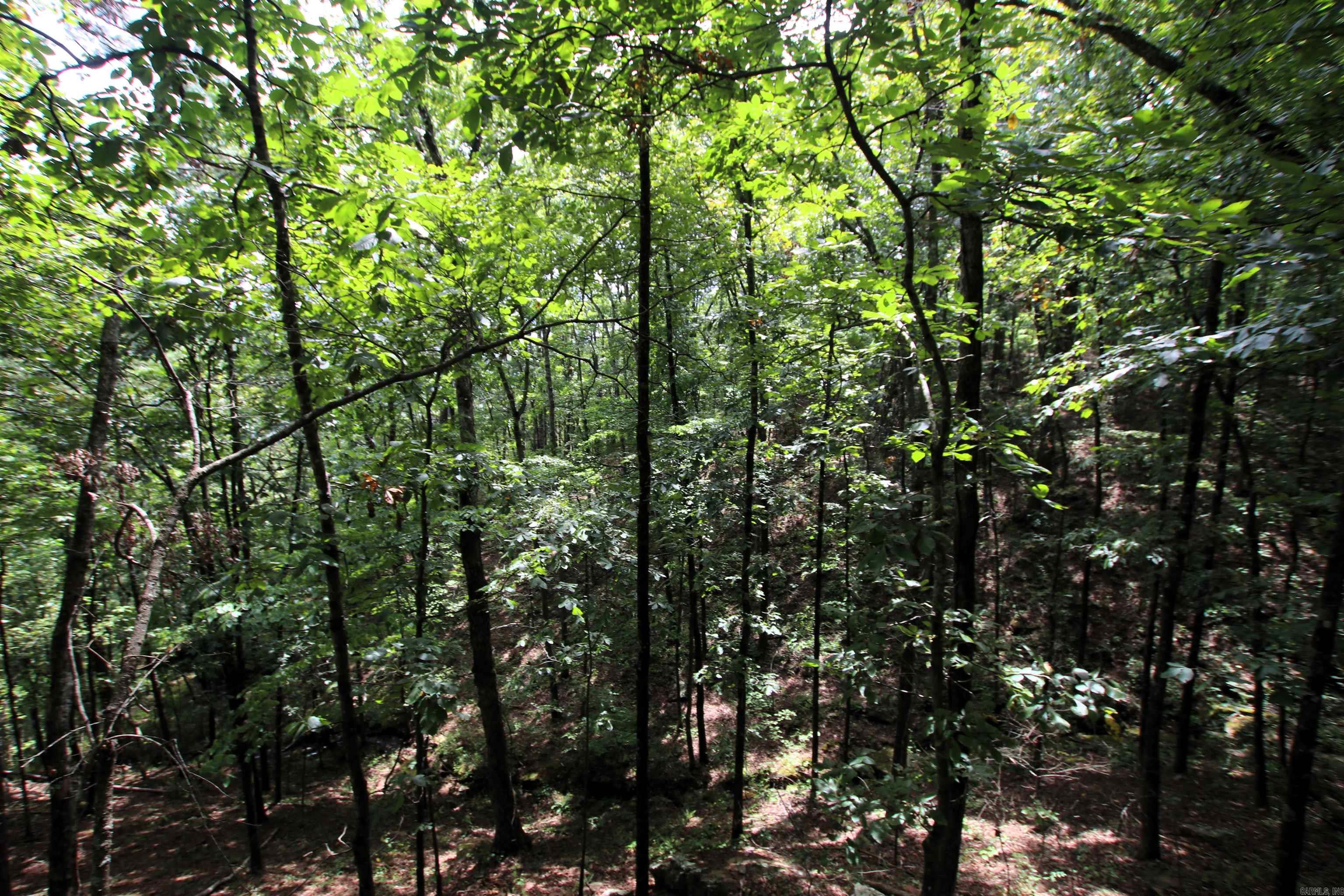 5463 Lo Gap  Clinton, AR