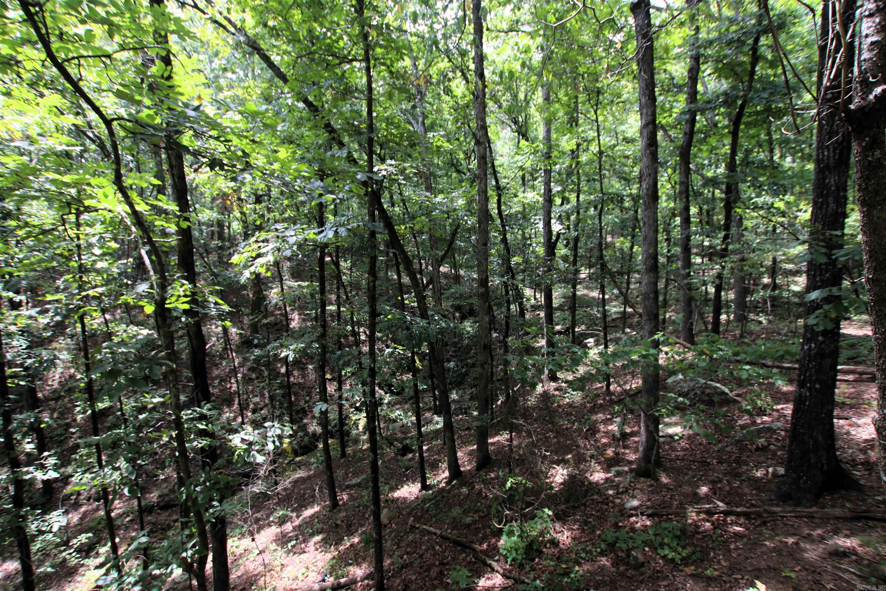 5463 Lo Gap  Clinton, AR