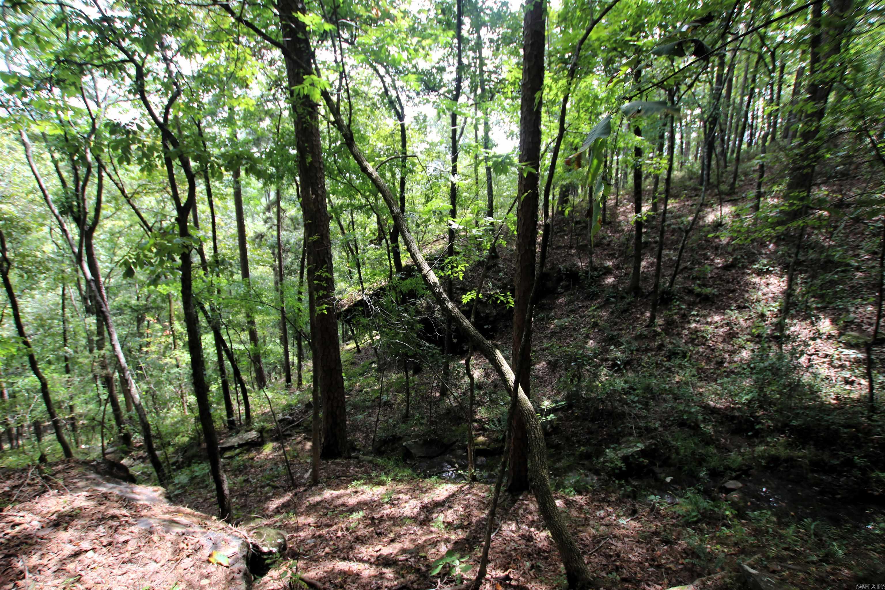 5463 Lo Gap  Clinton, AR