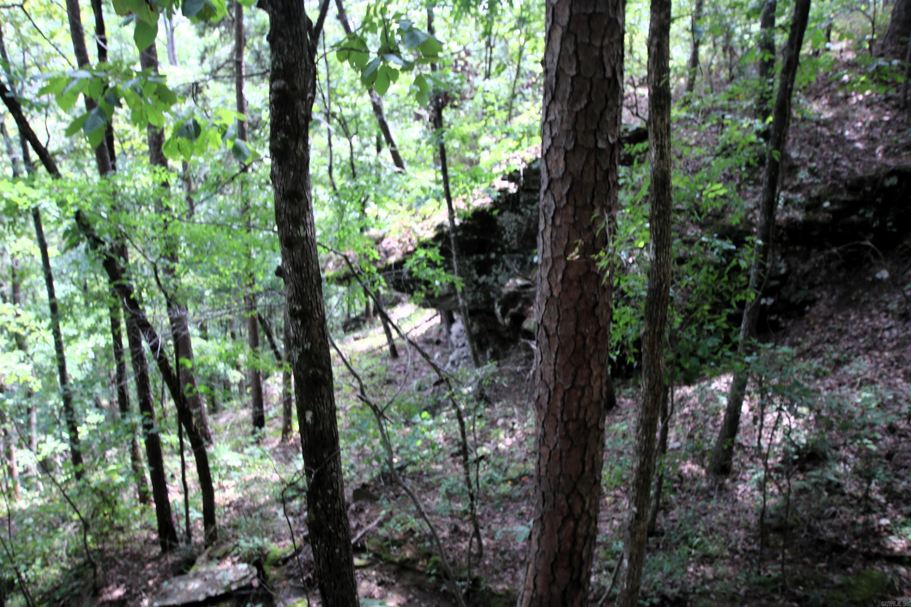 5463 Lo Gap  Clinton, AR