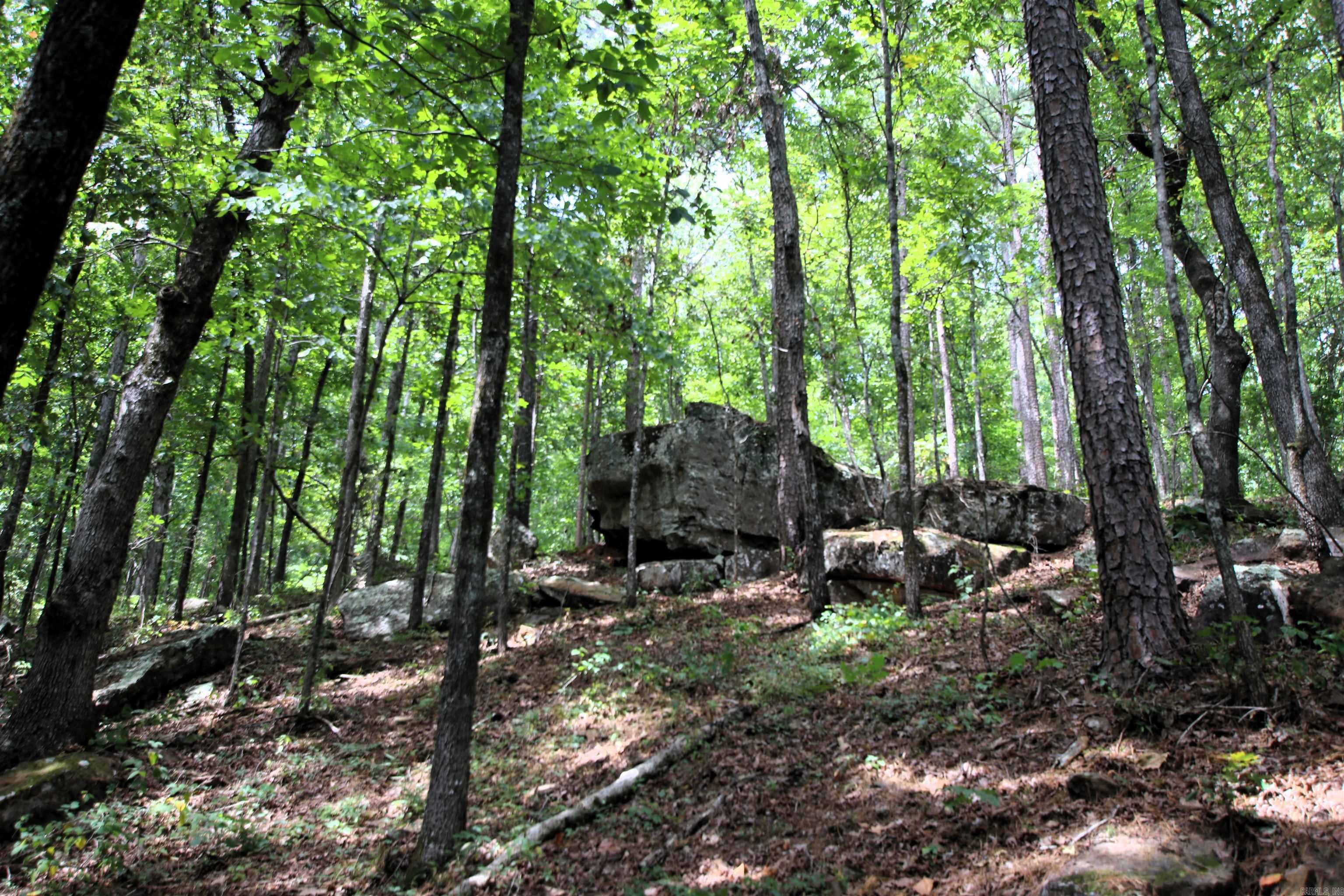 5463 Lo Gap  Clinton, AR