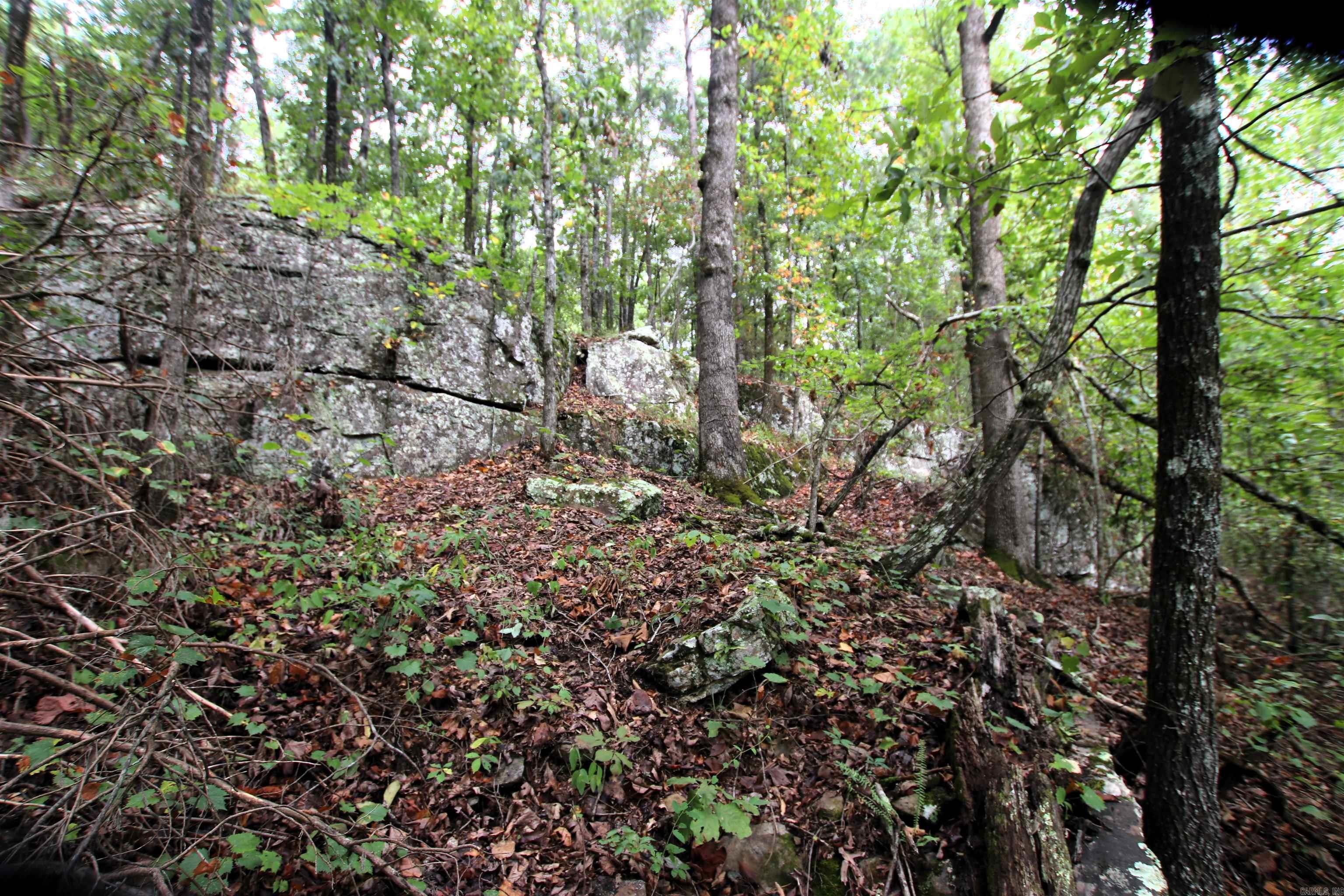 5463 Lo Gap  Clinton, AR