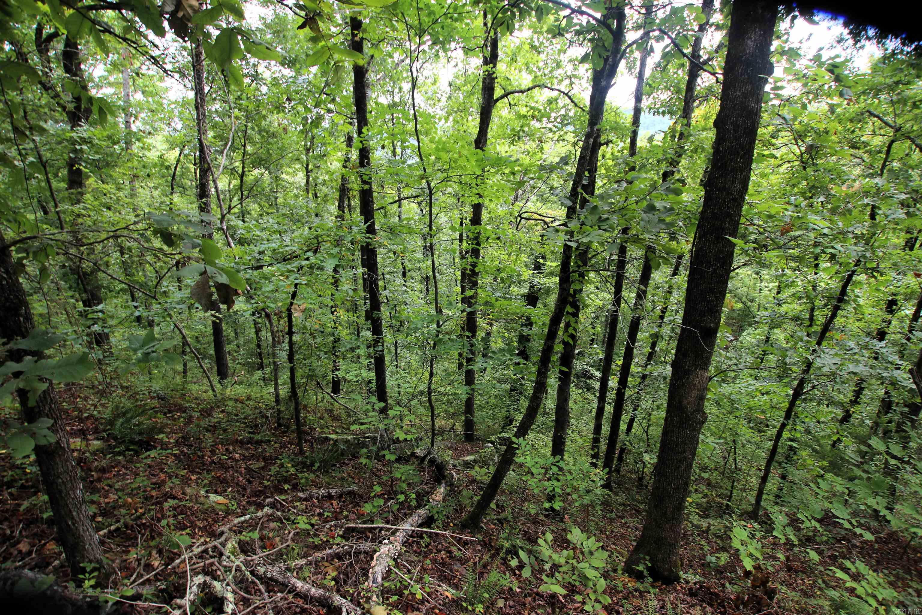 5463 Lo Gap  Clinton, AR