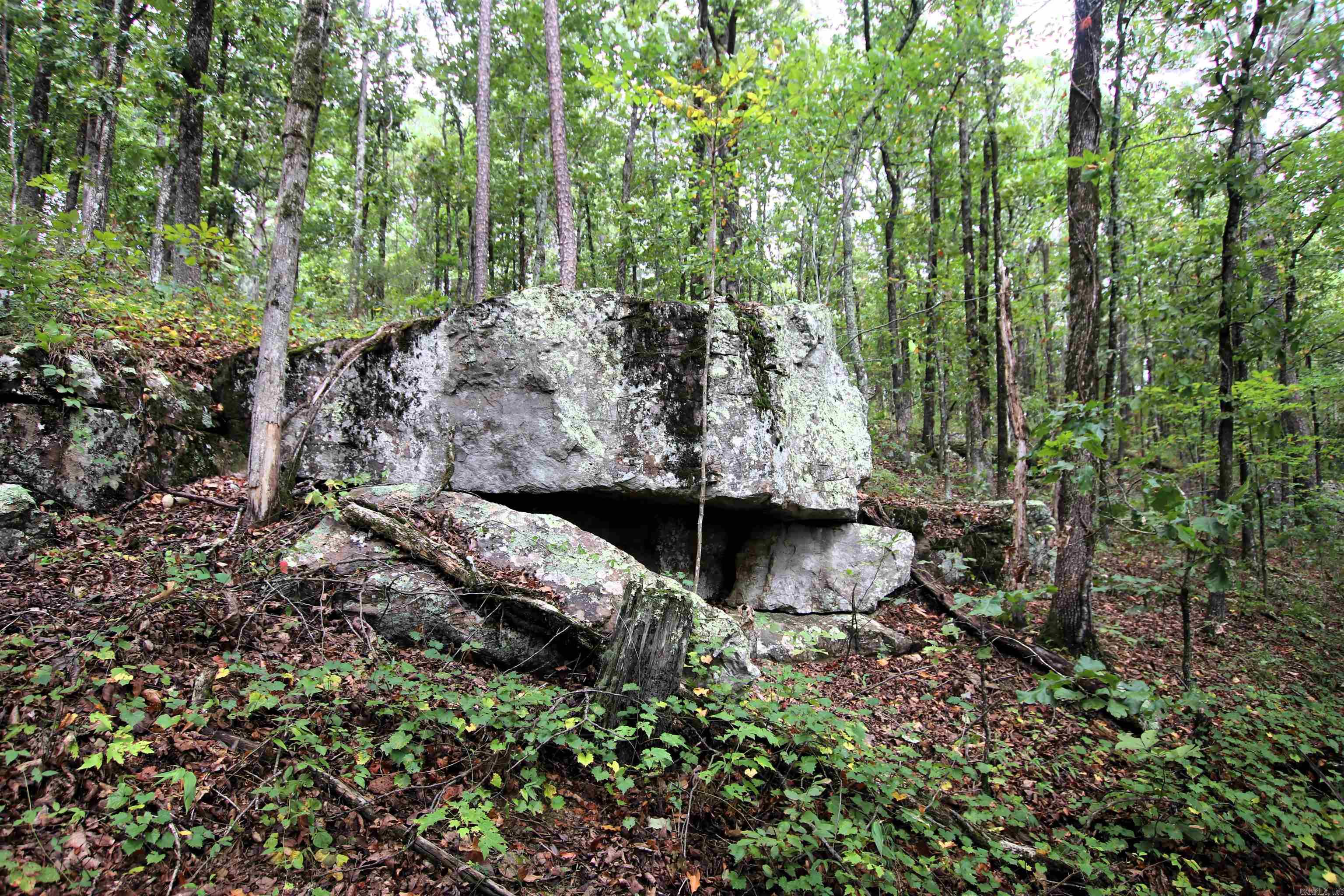 5463 Lo Gap  Clinton, AR