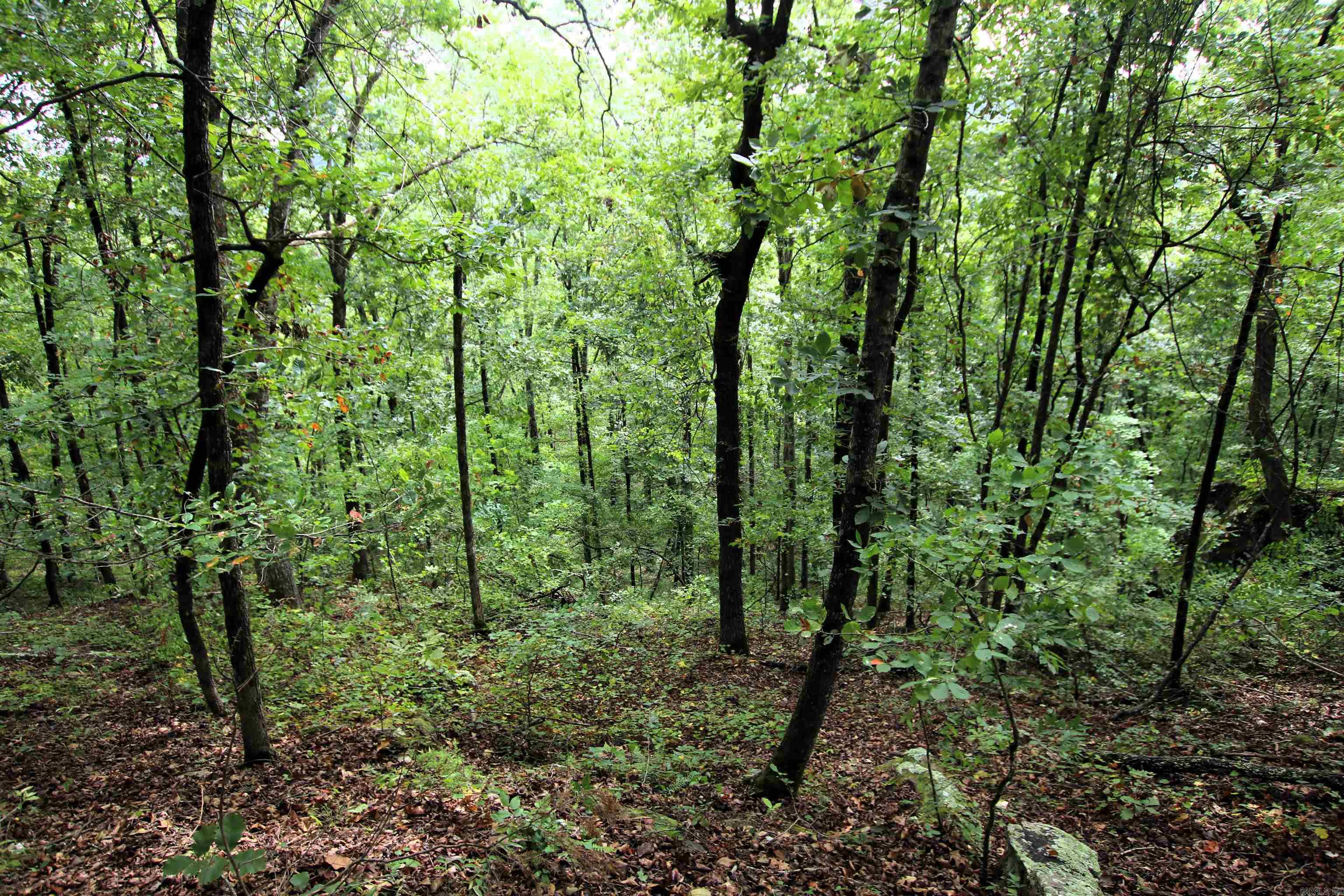5463 Lo Gap  Clinton, AR