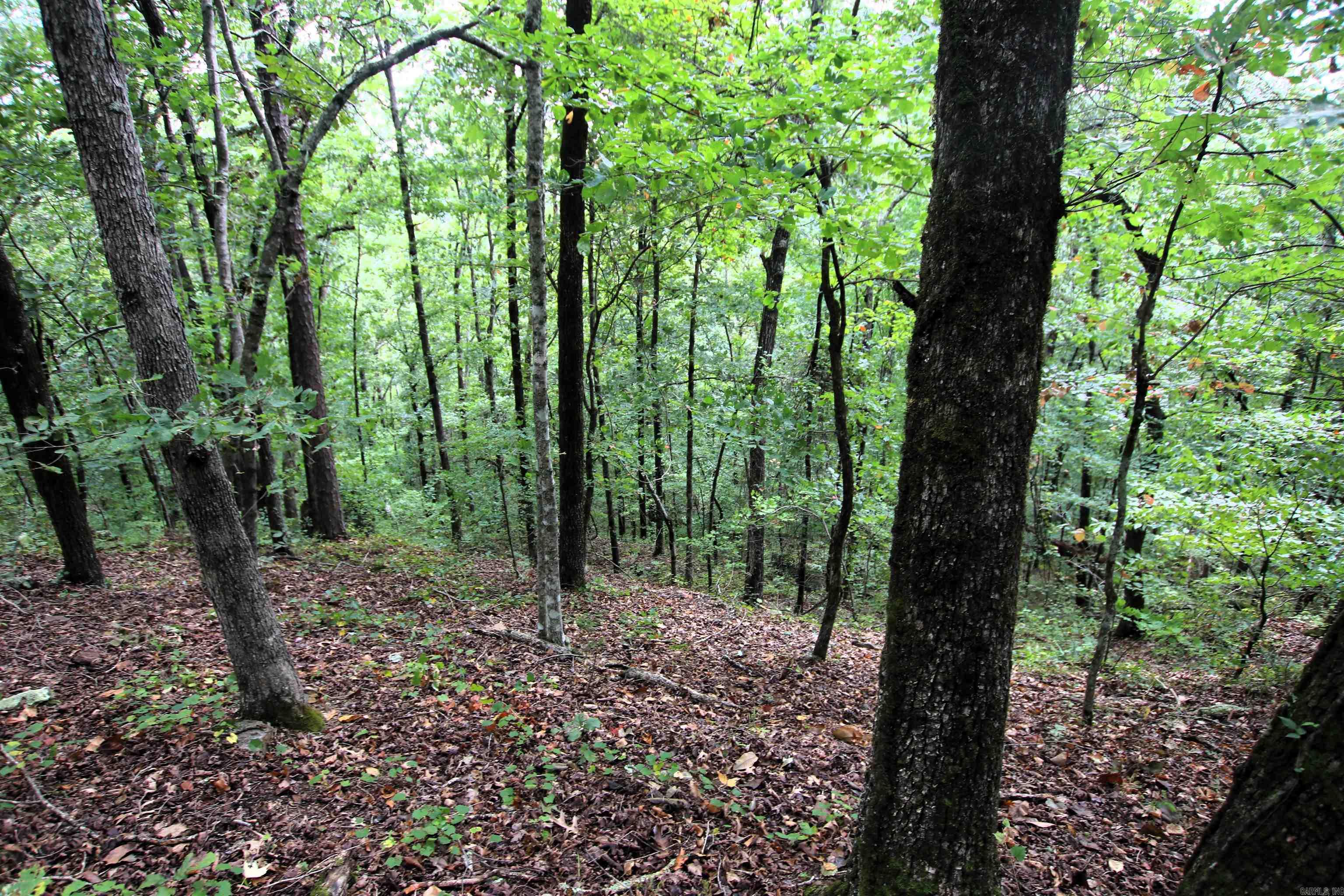 5463 Lo Gap  Clinton, AR