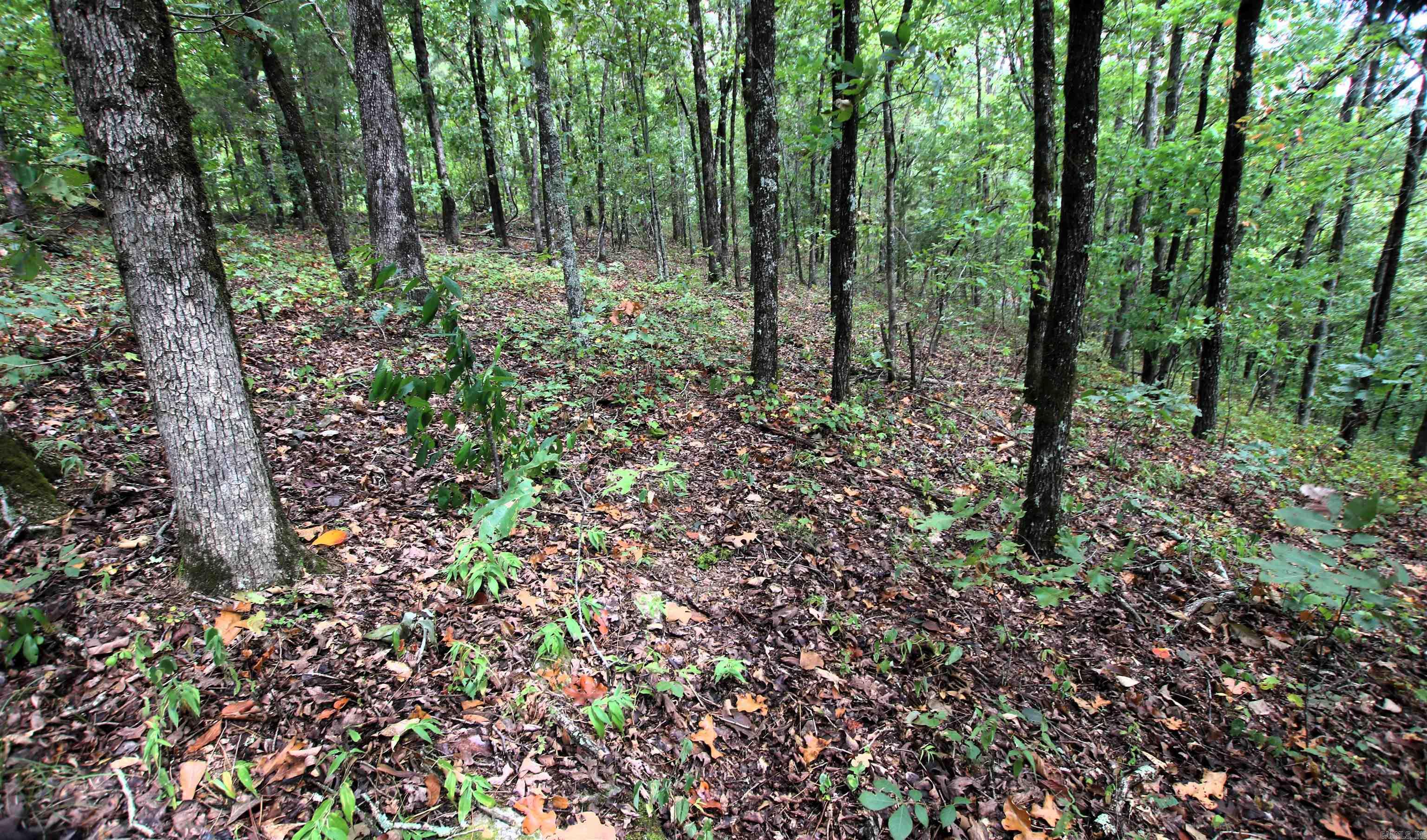5463 Lo Gap  Clinton, AR