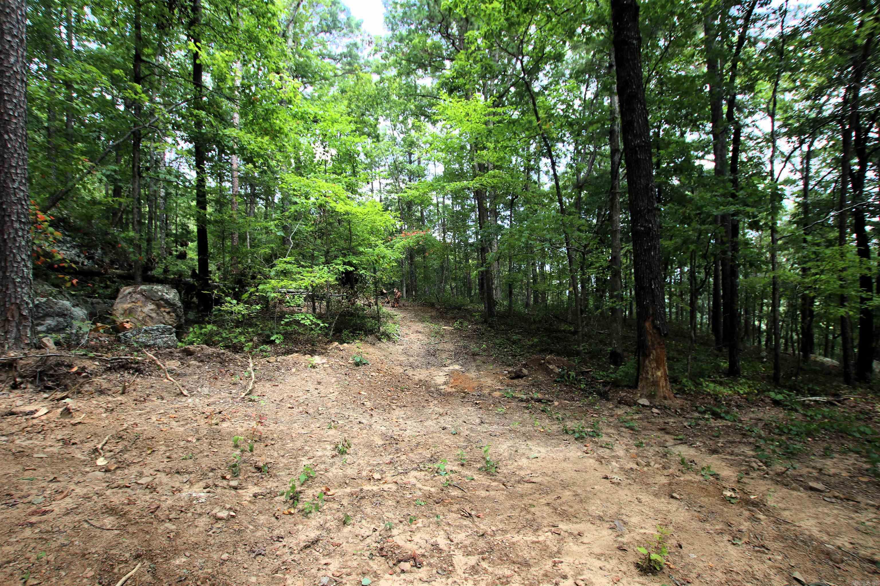 5463 Lo Gap  Clinton, AR