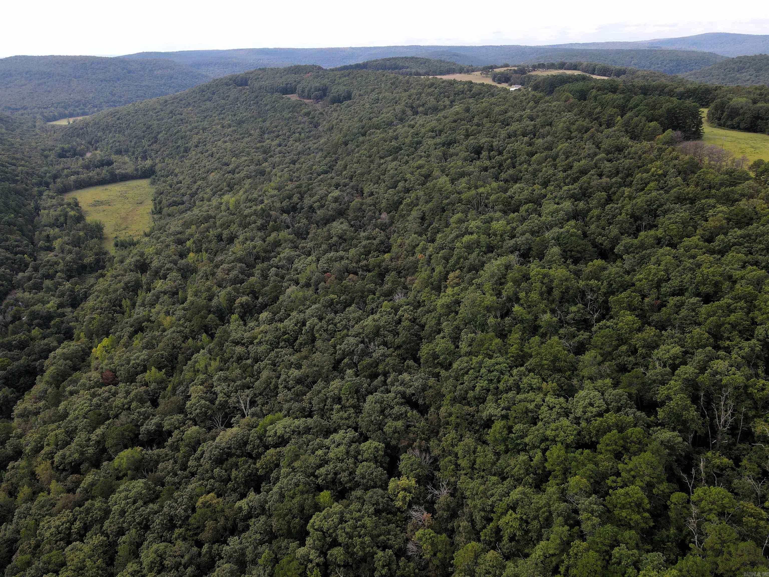 5463 Lo Gap  Clinton, AR