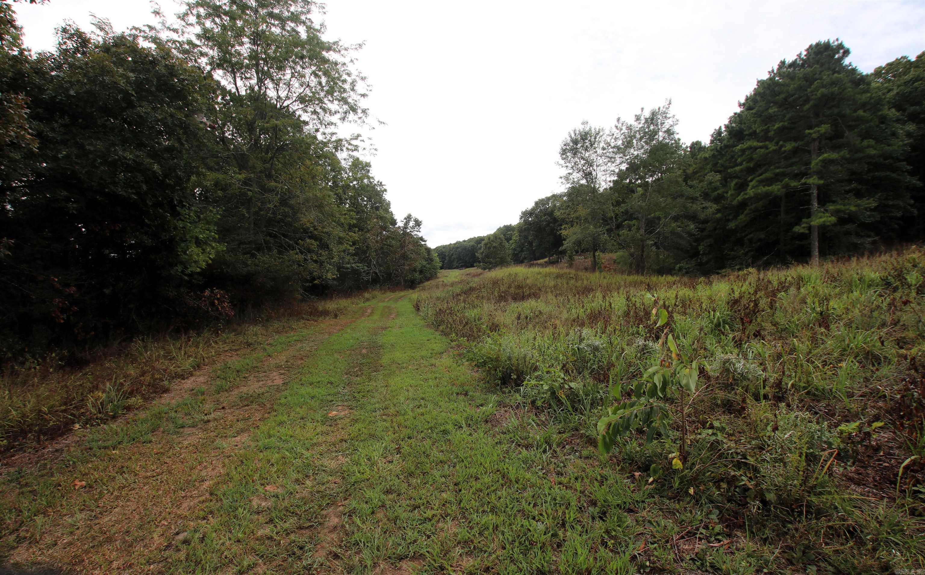 5463 Lo Gap  Clinton, AR