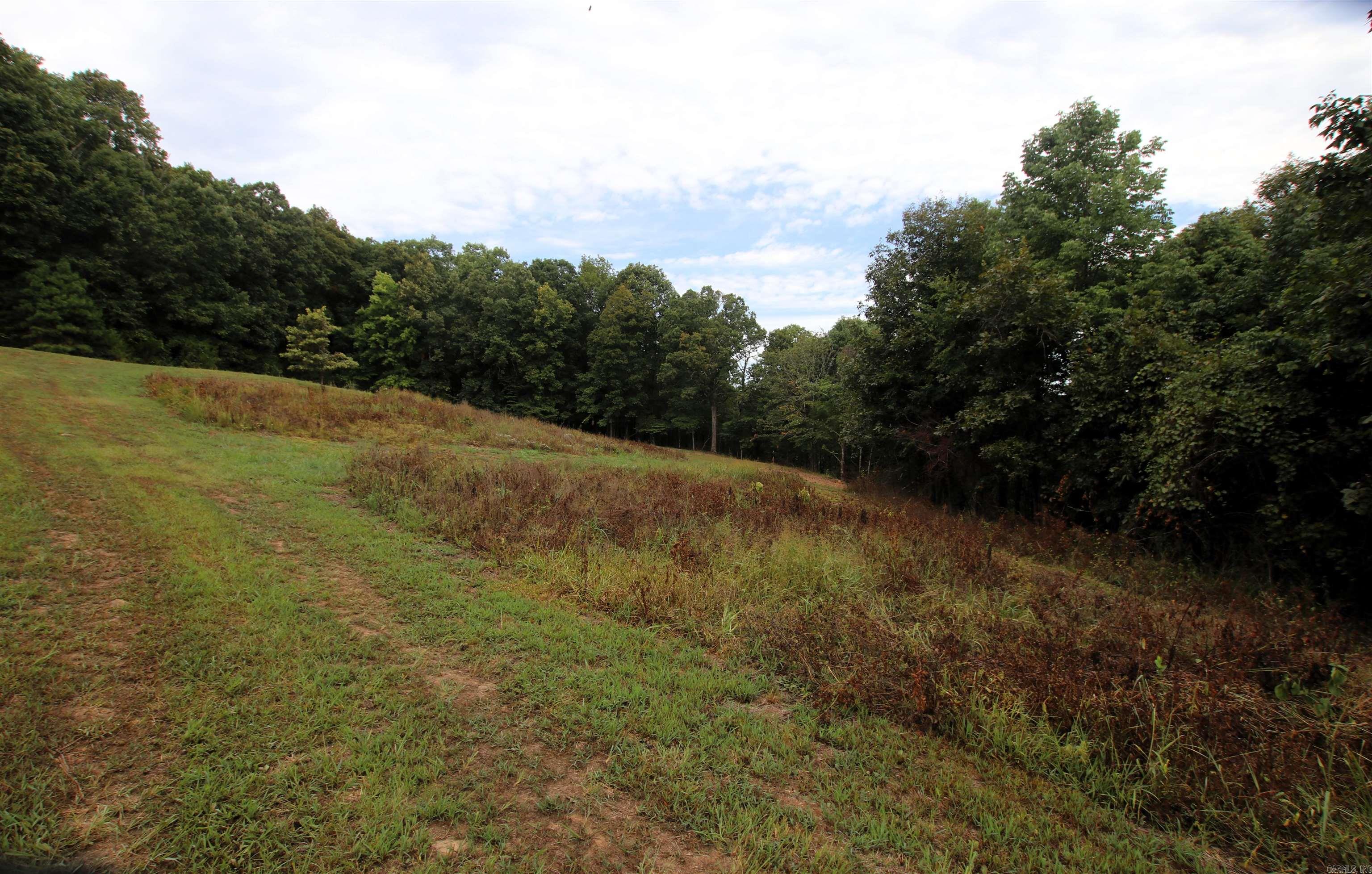 5463 Lo Gap  Clinton, AR