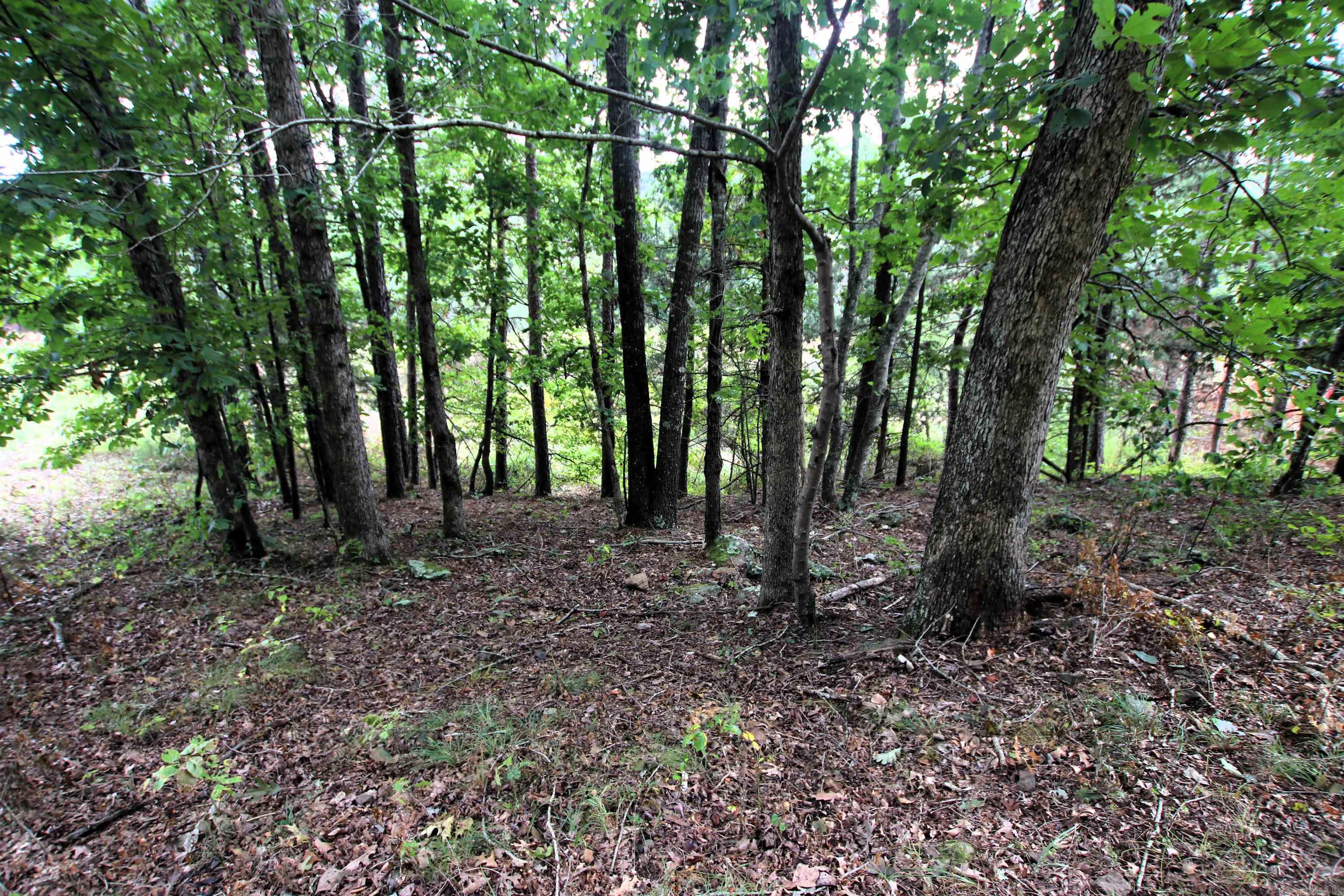 5463 Lo Gap  Clinton, AR