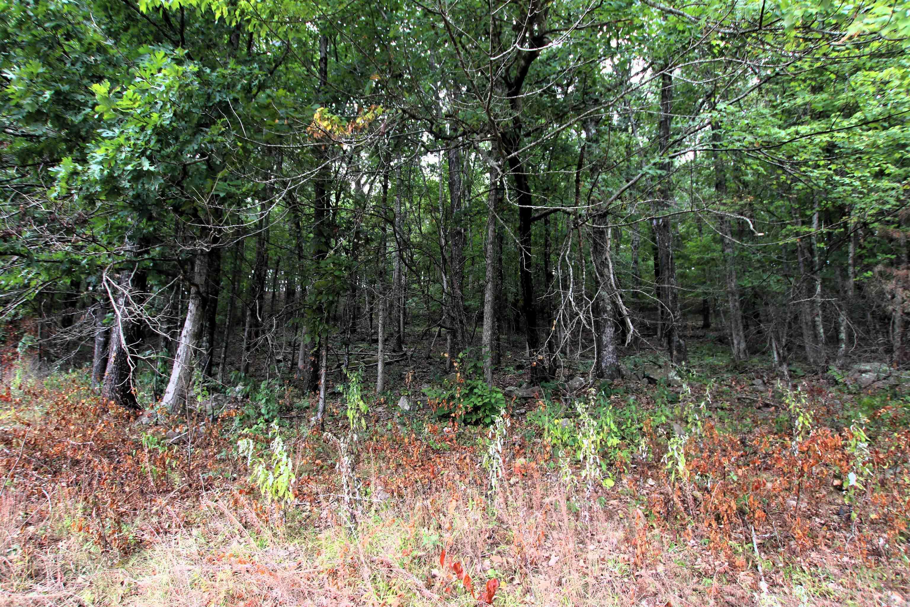 5463 Lo Gap  Clinton, AR