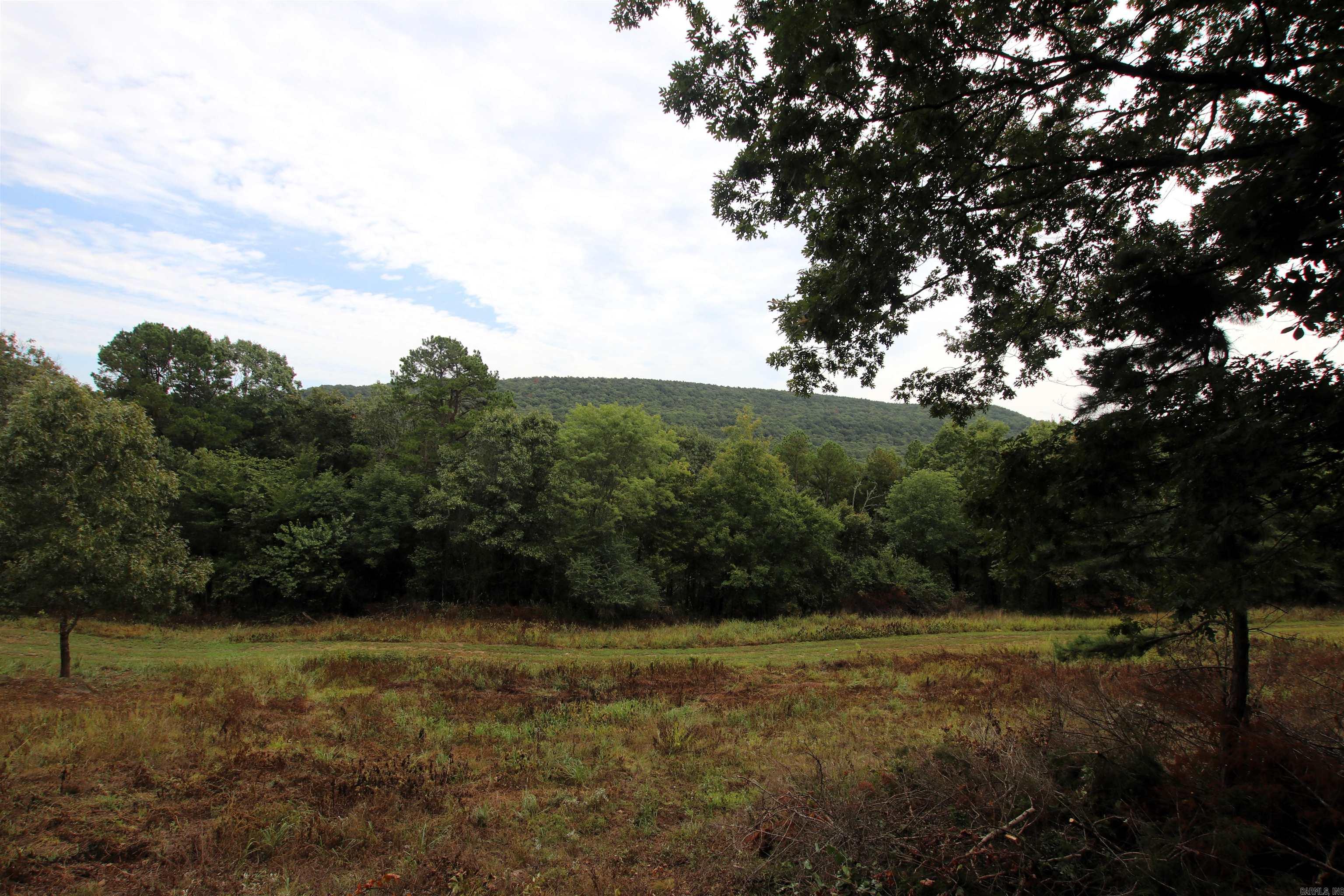 5463 Lo Gap  Clinton, AR