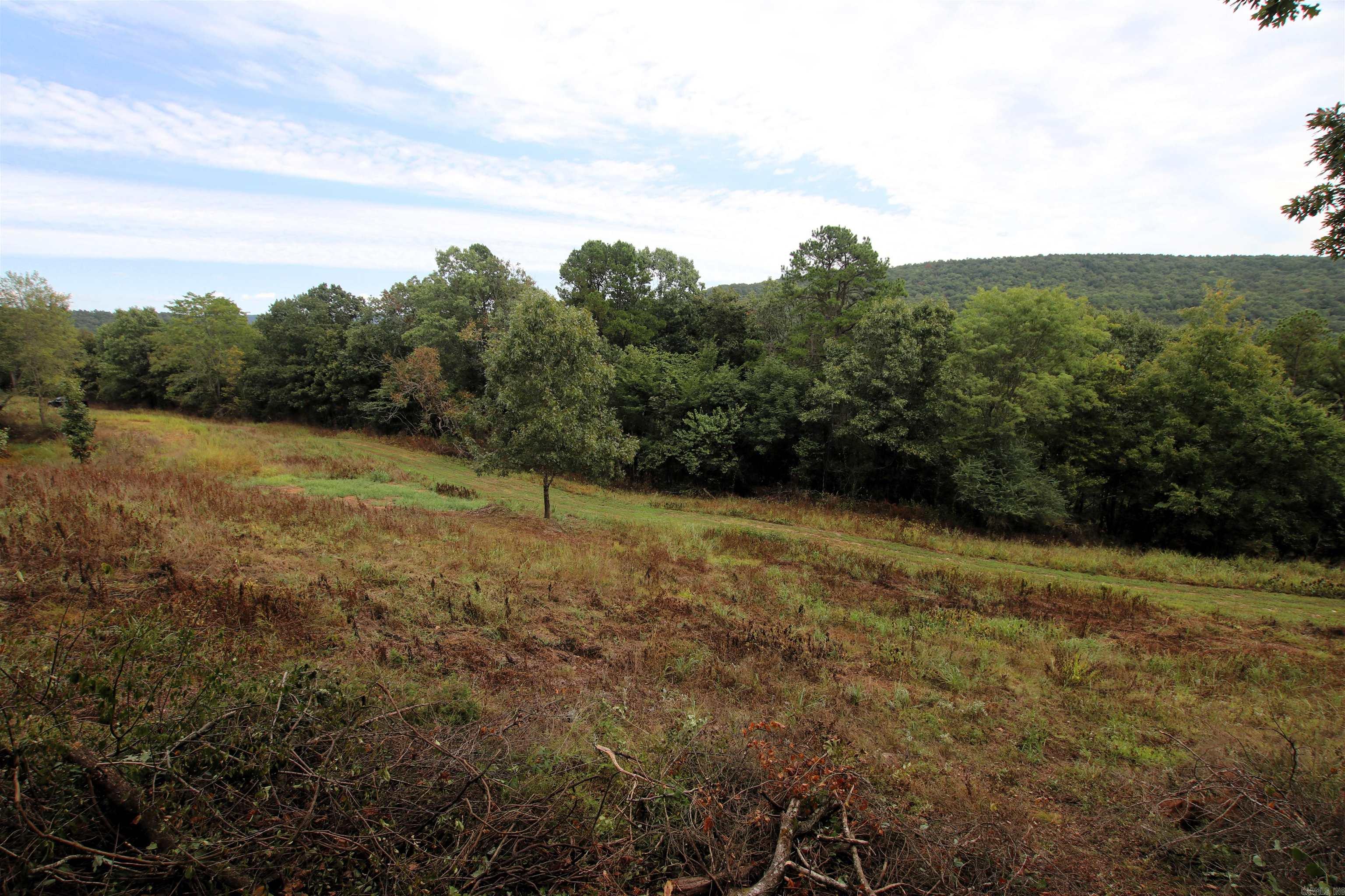 5463 Lo Gap  Clinton, AR
