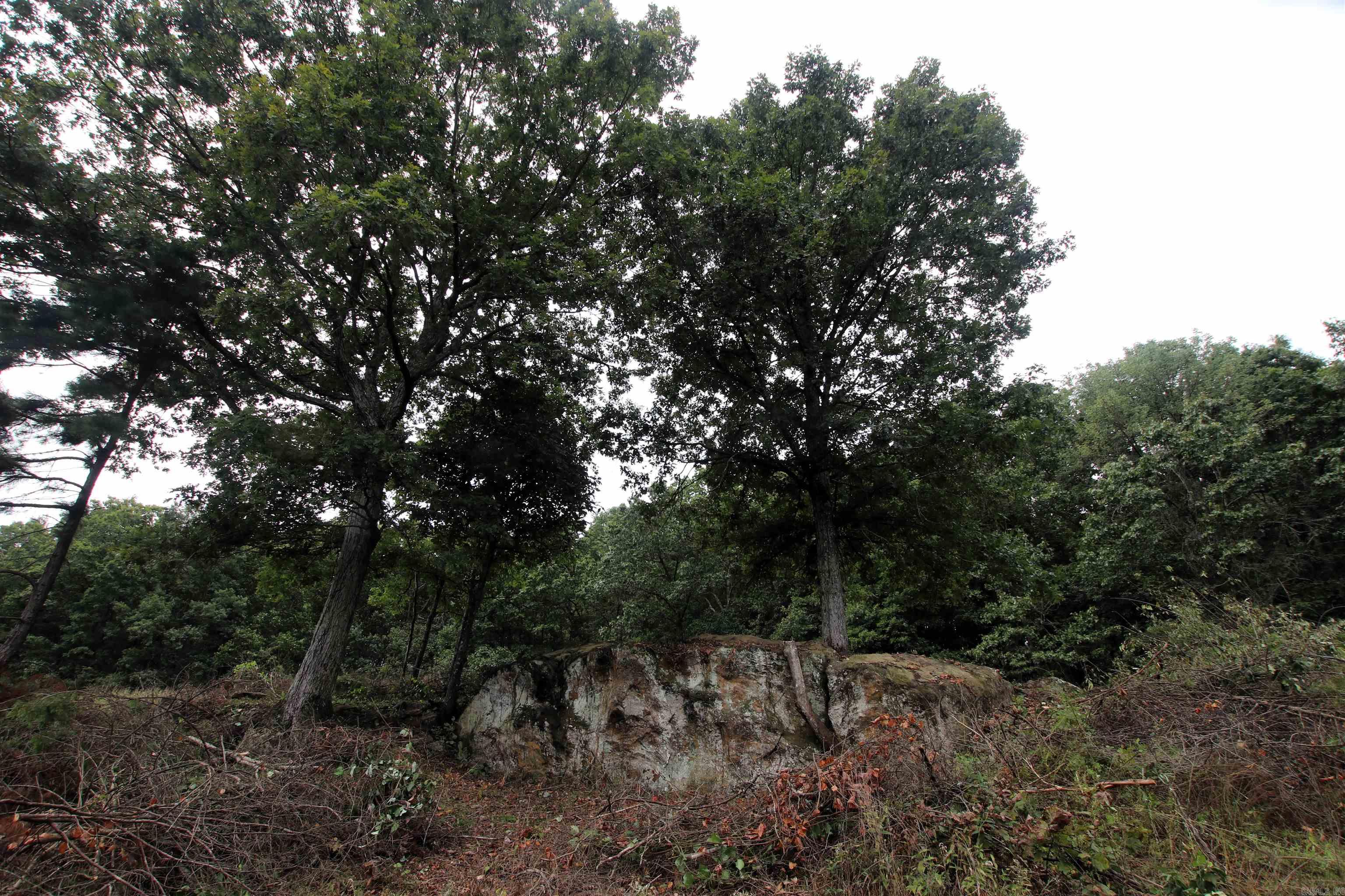 5463 Lo Gap  Clinton, AR