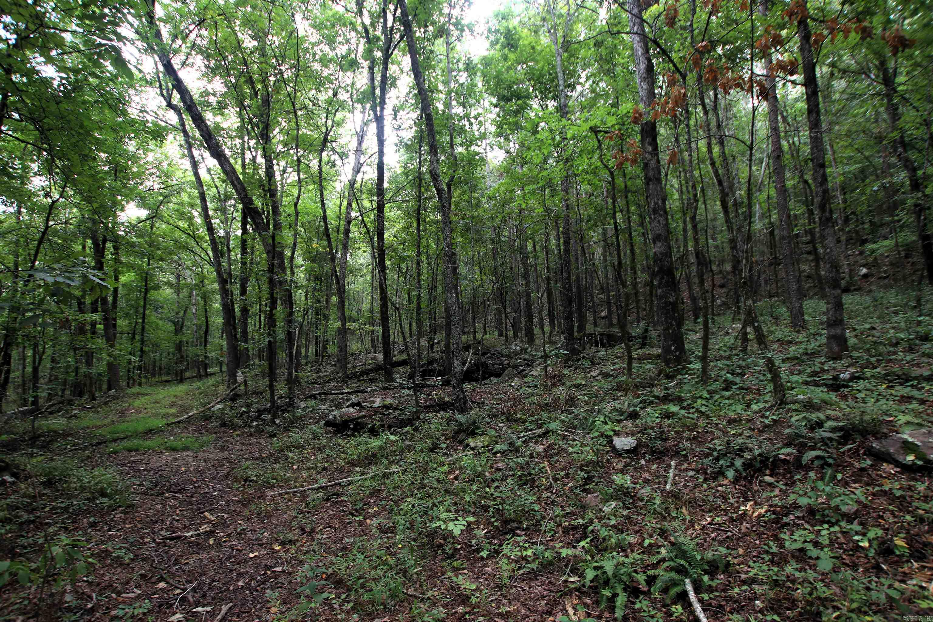 5463 Lo Gap  Clinton, AR