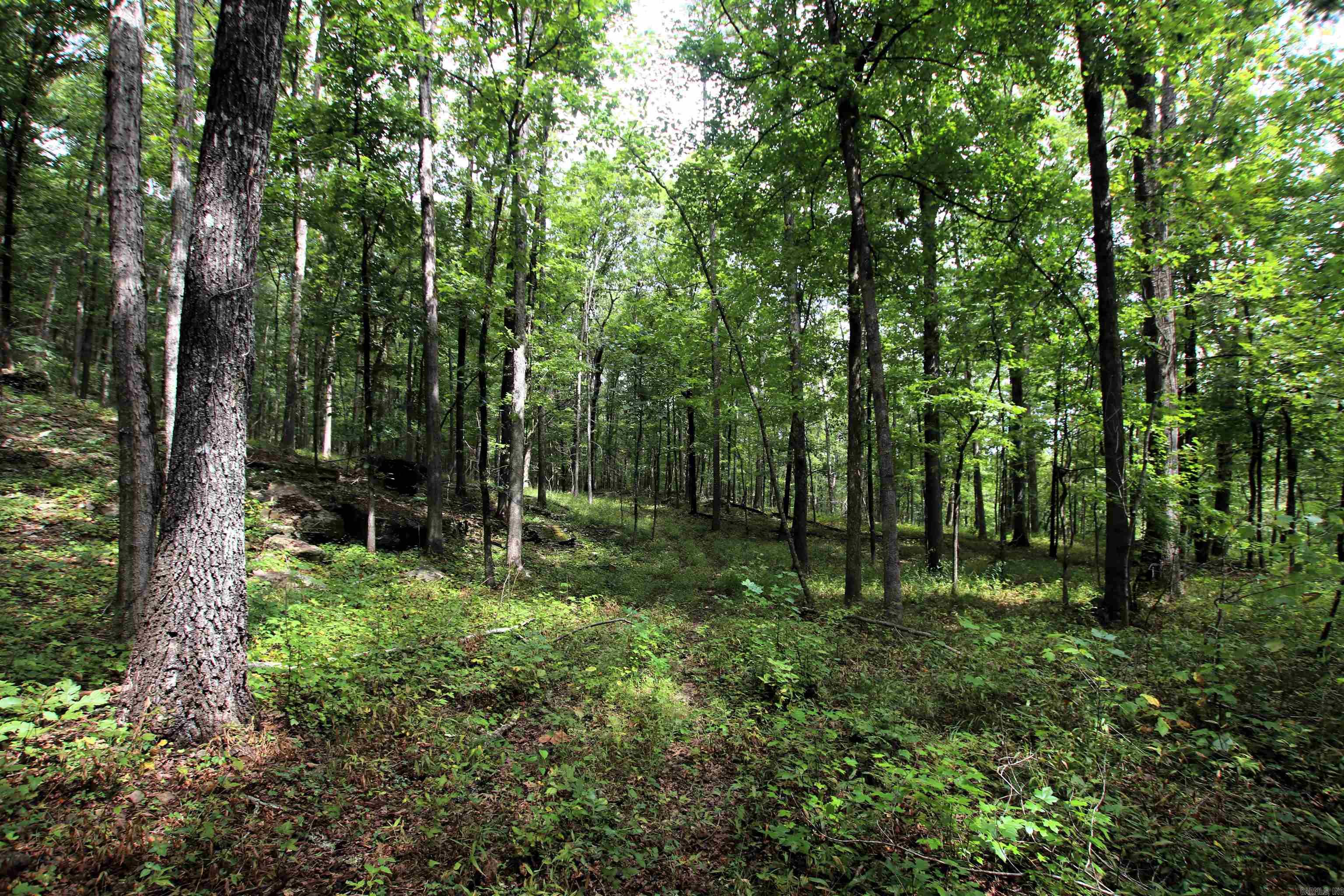 5463 Lo Gap  Clinton, AR