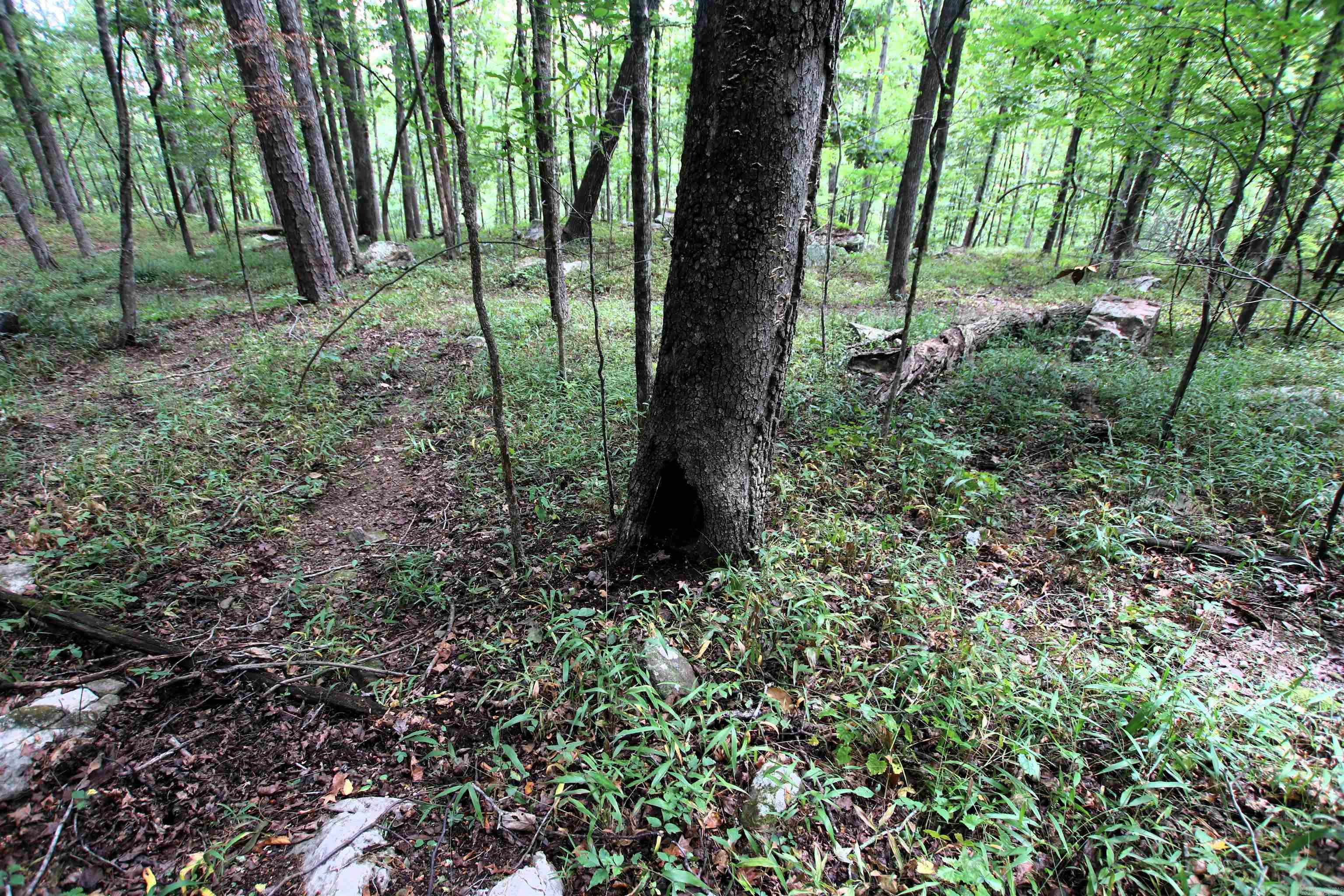 5463 Lo Gap  Clinton, AR