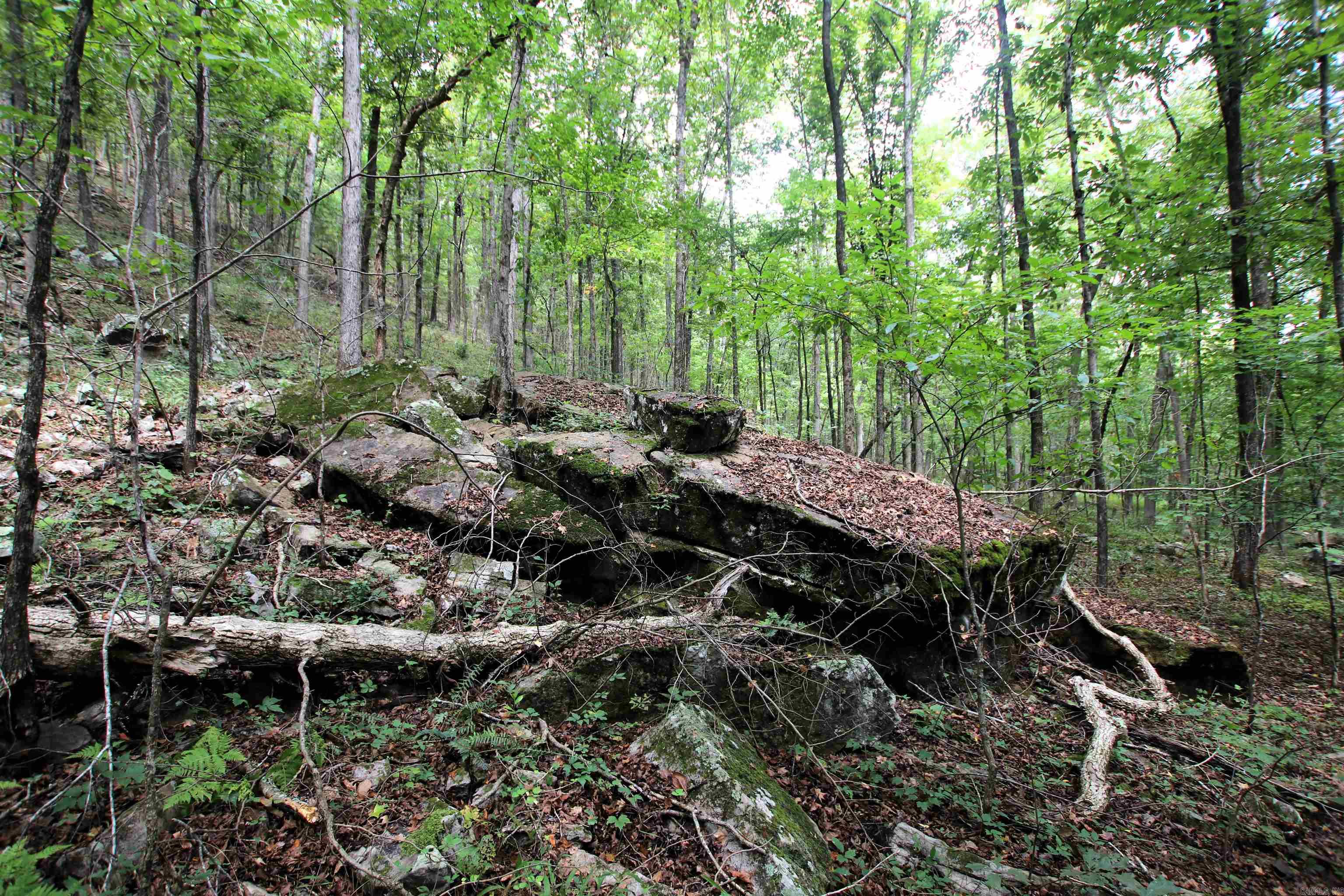 5463 Lo Gap  Clinton, AR