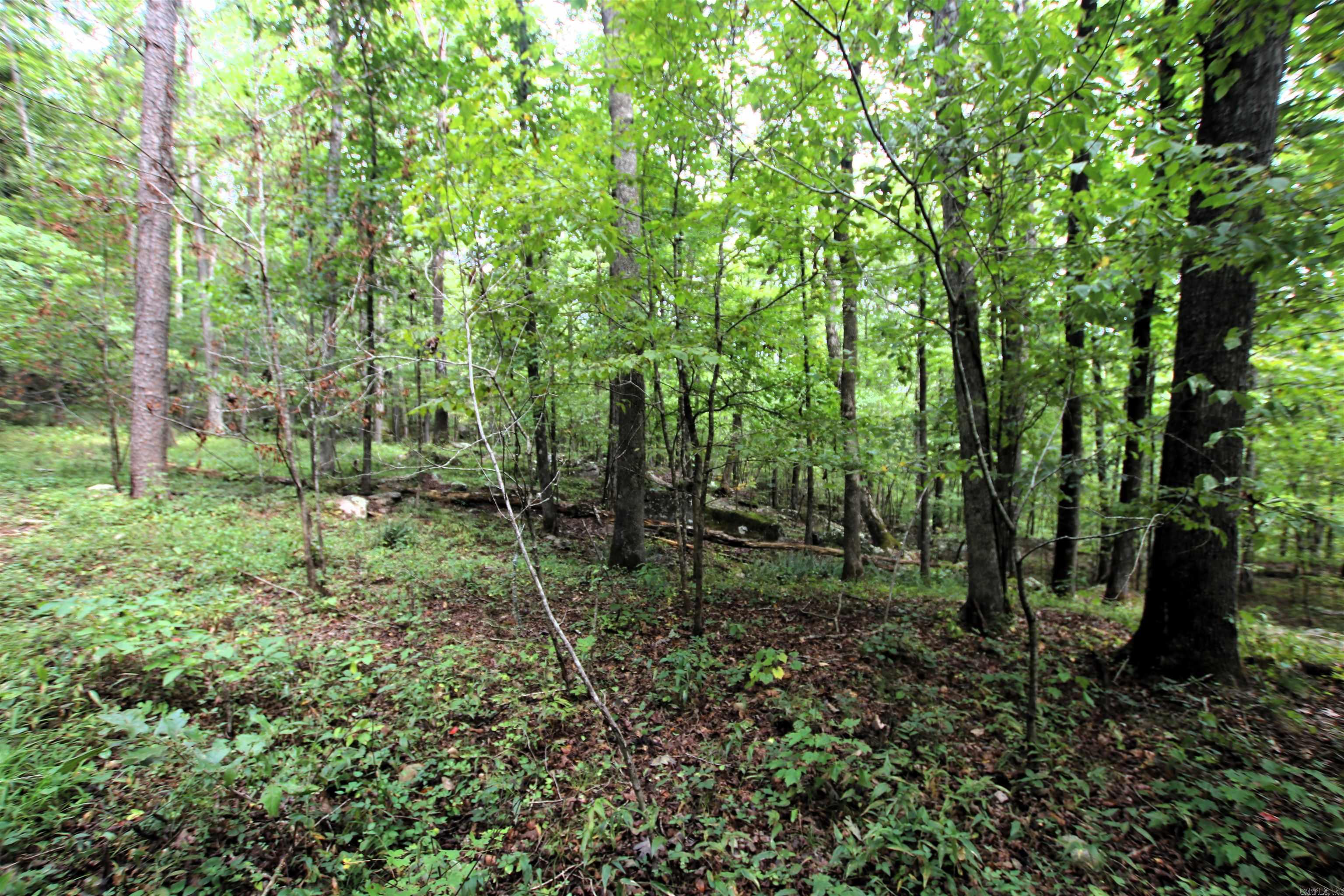5463 Lo Gap  Clinton, AR