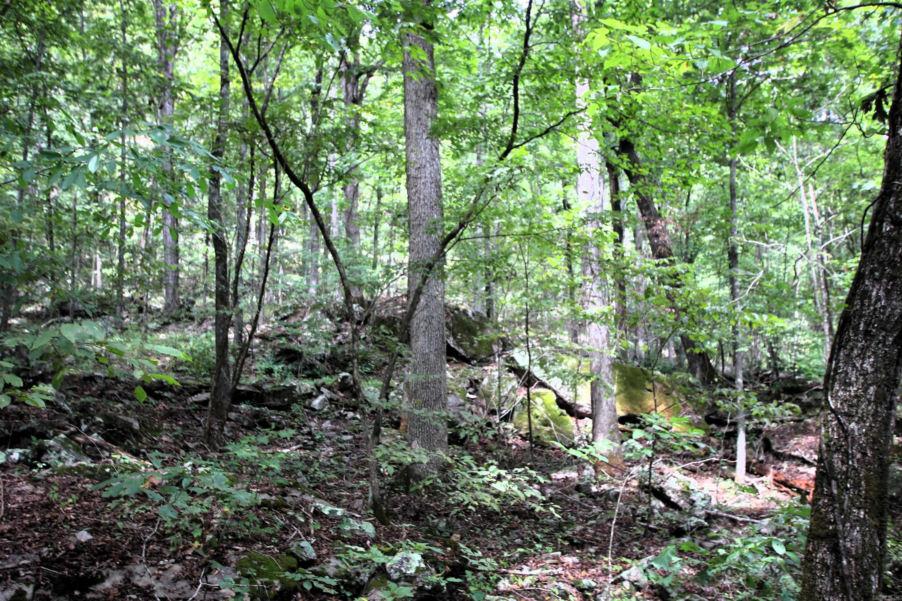 5463 Lo Gap  Clinton, AR