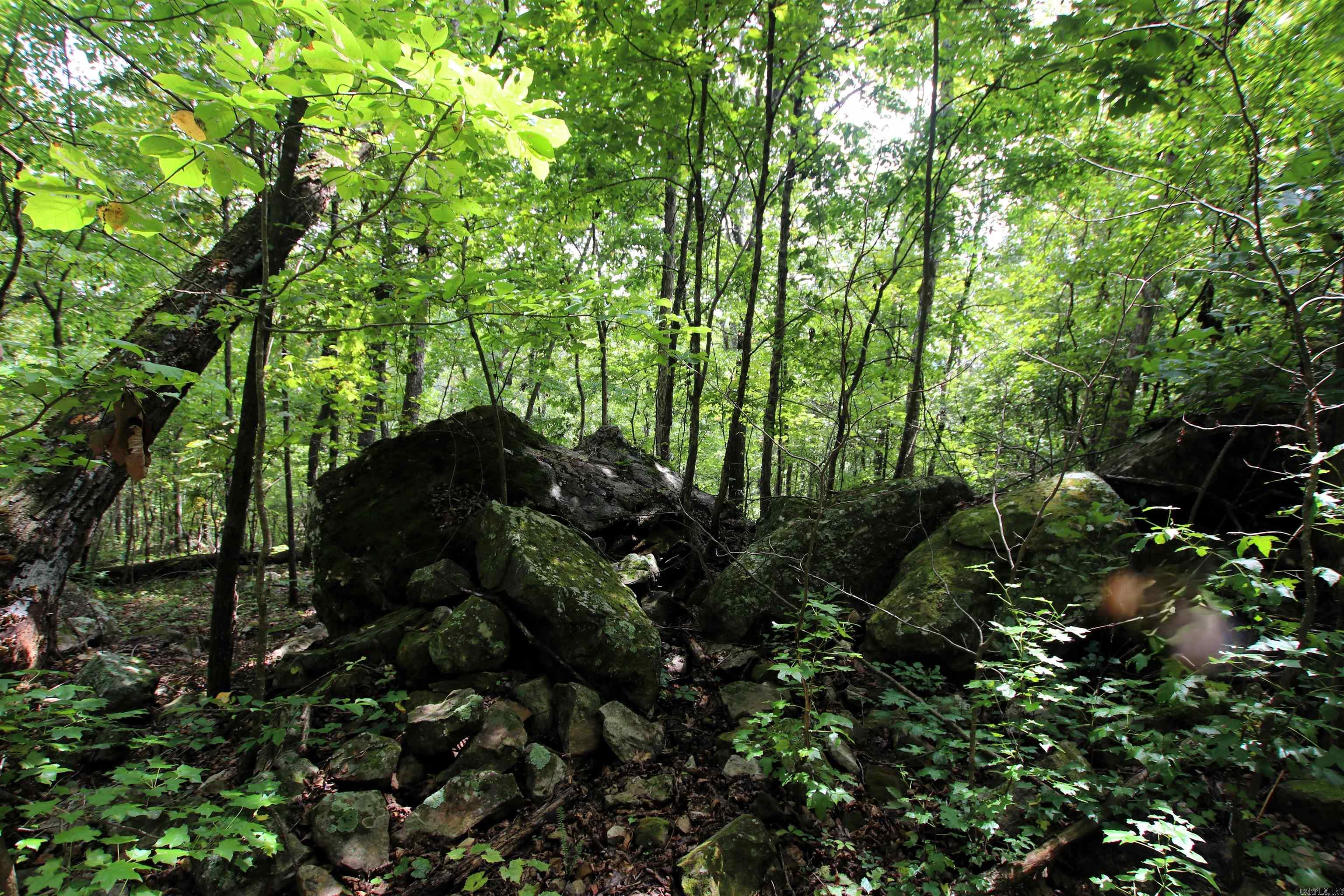 5463 Lo Gap  Clinton, AR